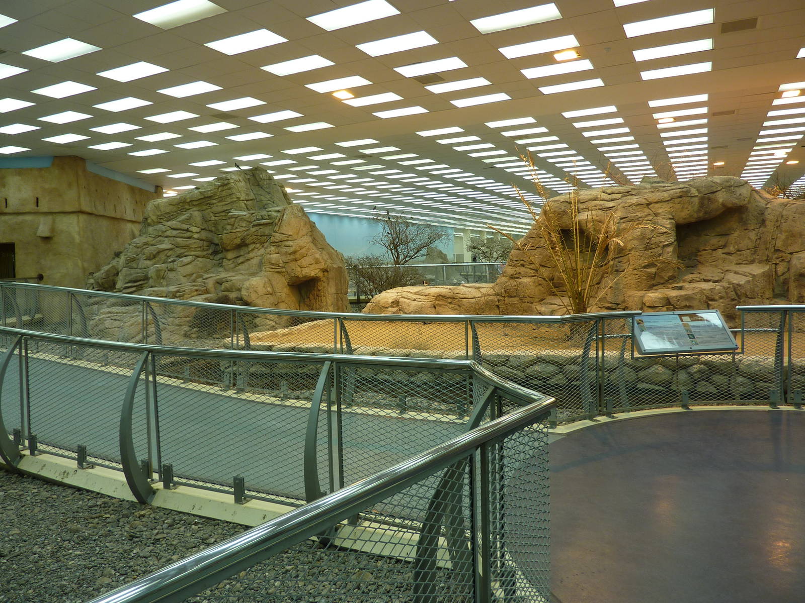 Main aviary, December 2011.