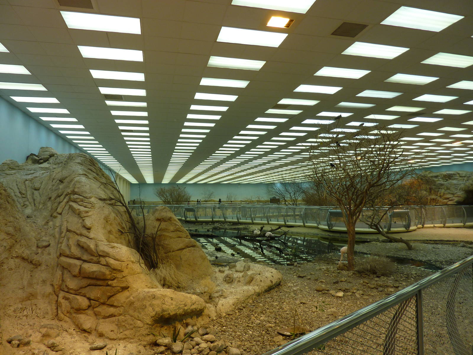 Main aviary, December 2011.