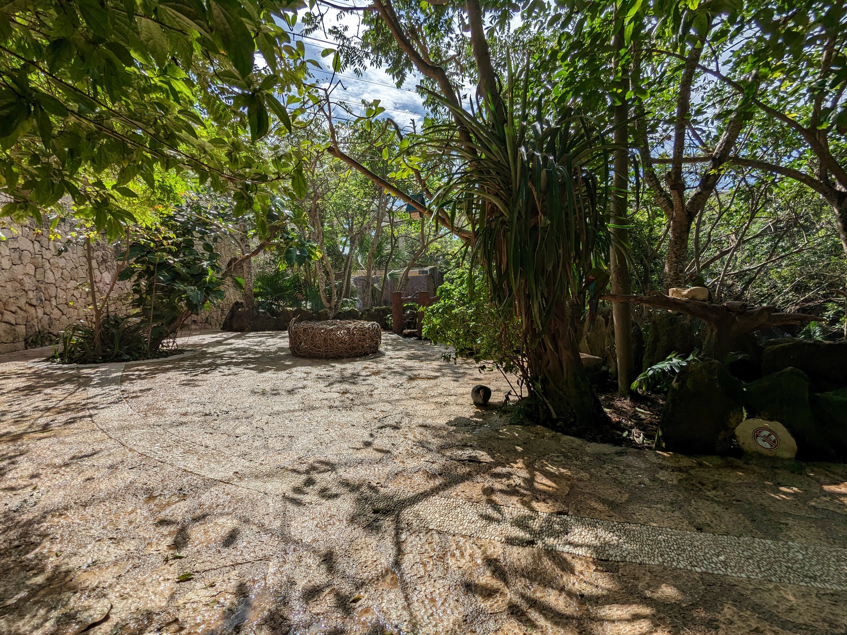 Main Aviary - path about 1/4 down just after the swinging bridge