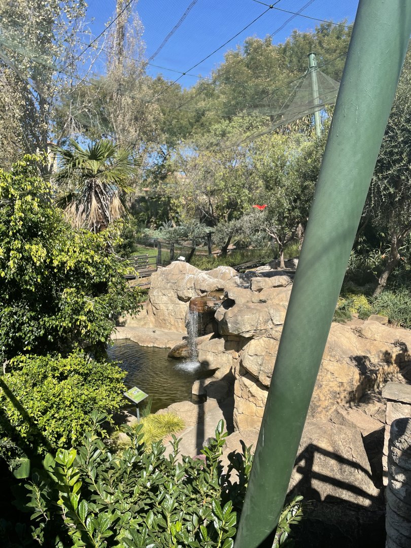 Main Aviary Pond - May 2021