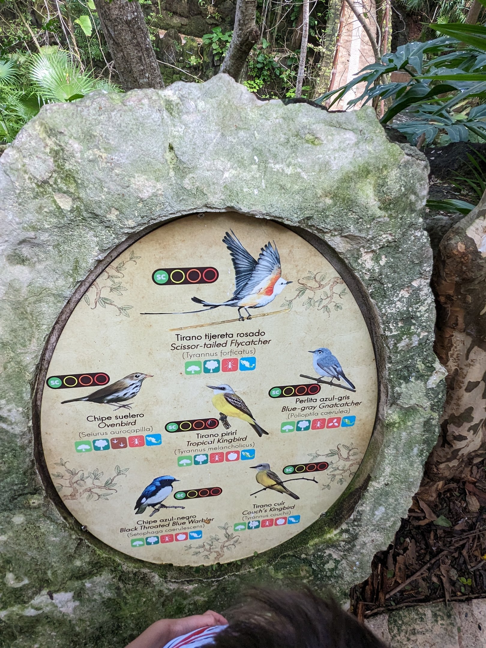 Main Aviary - signage