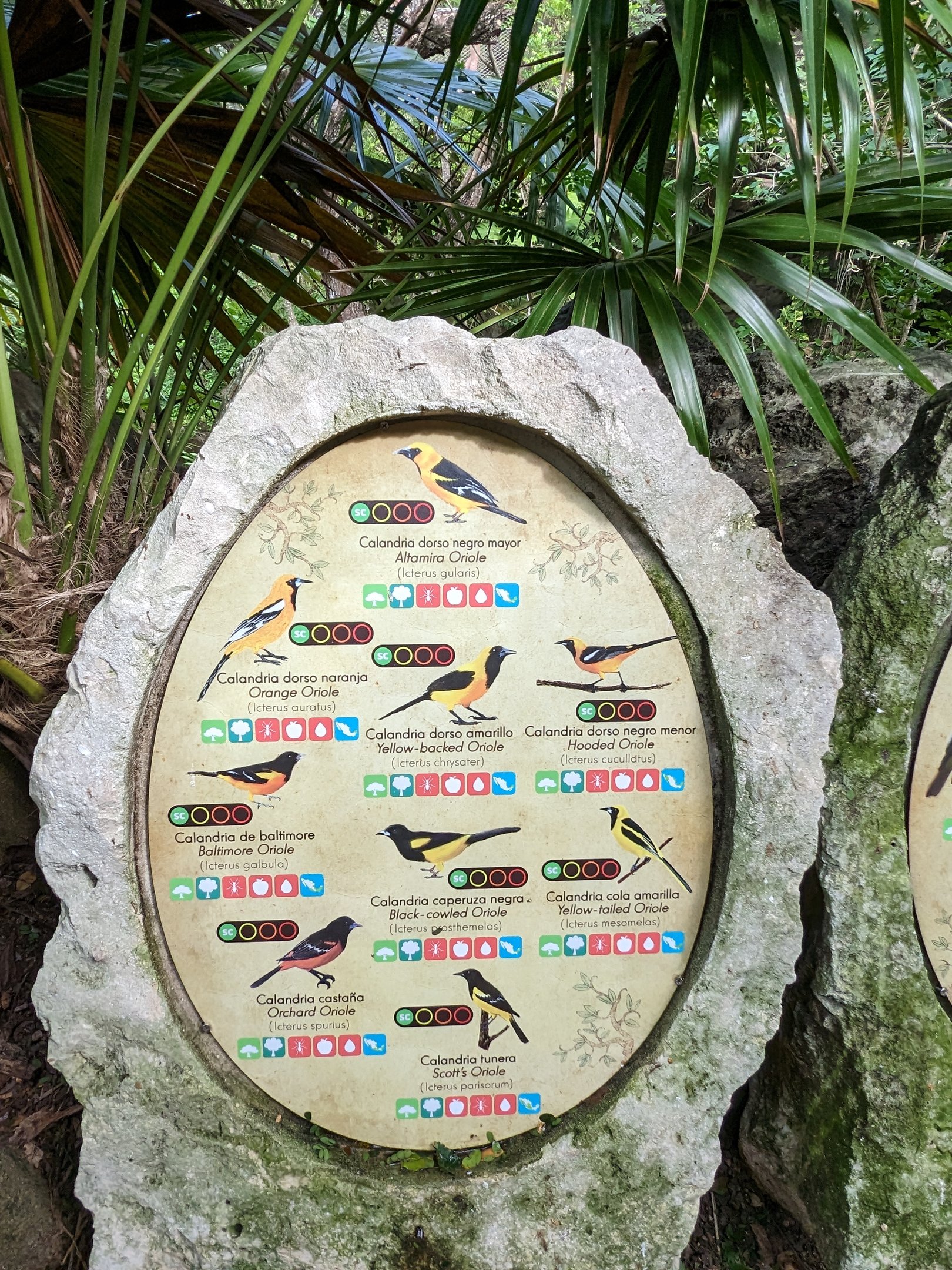 Main Aviary - signage