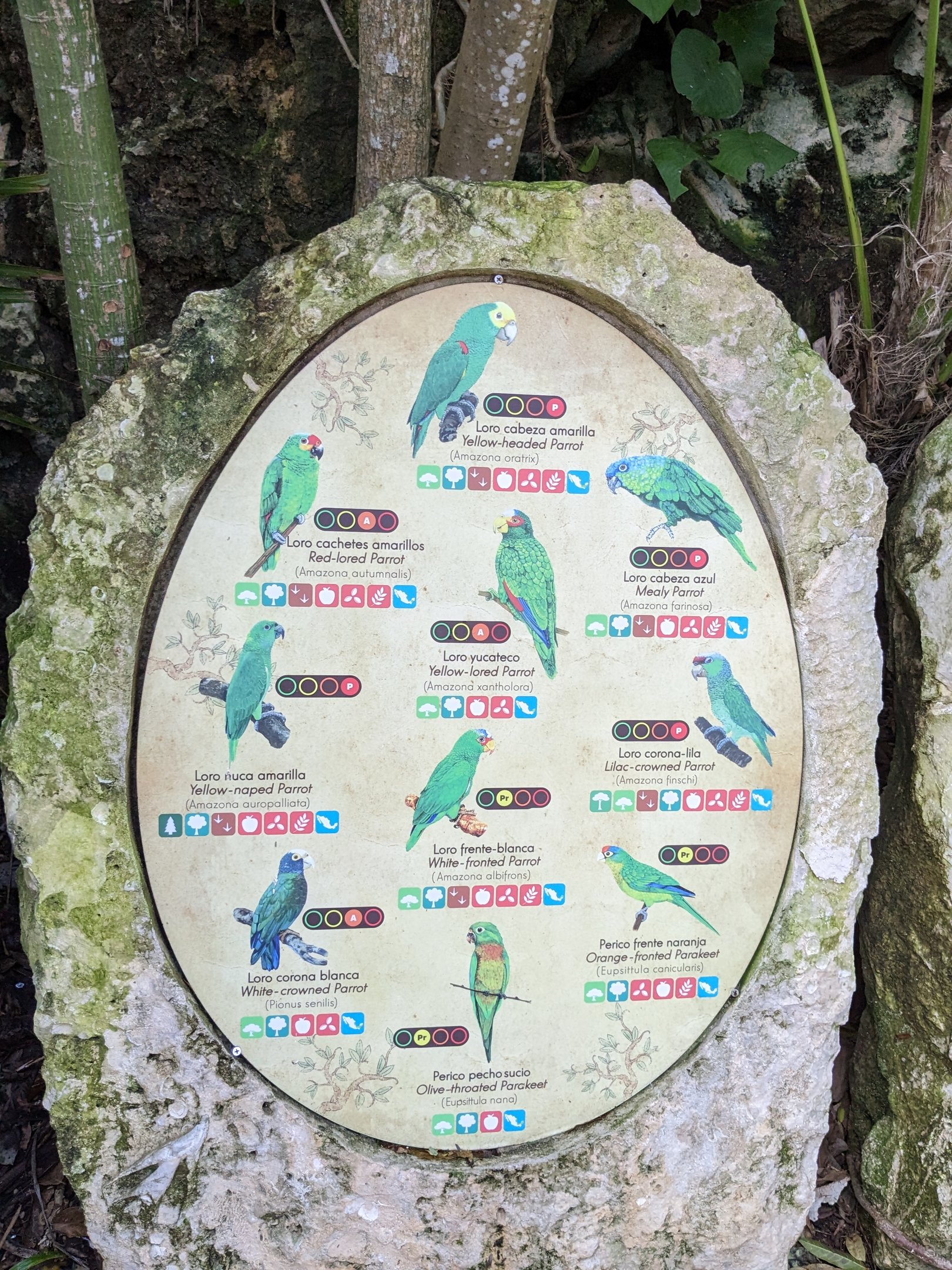 Main Aviary - signage