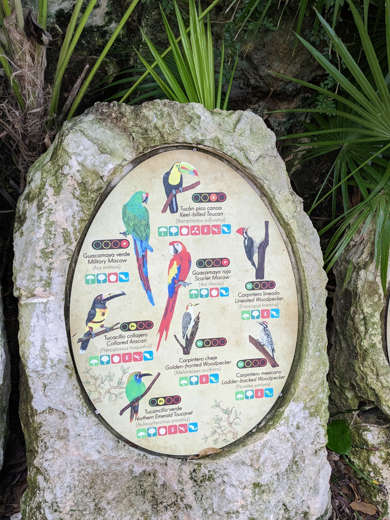 Main Aviary - signage