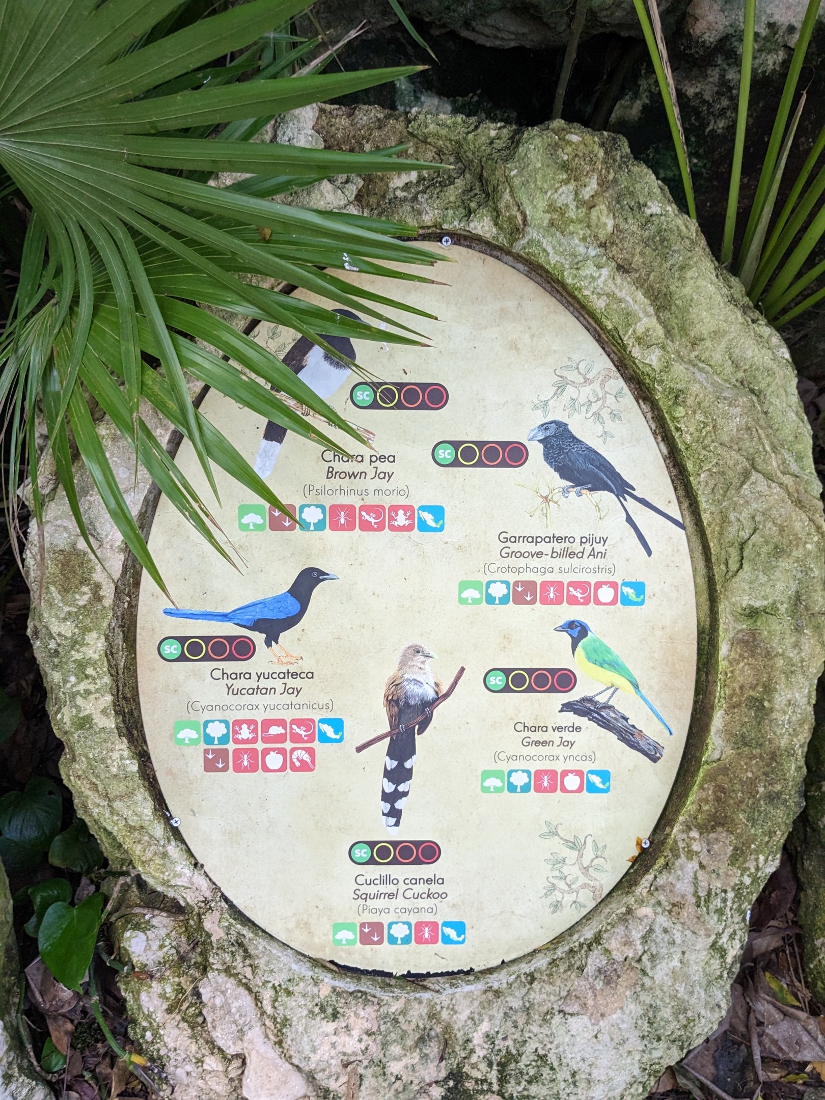 Main Aviary - signage