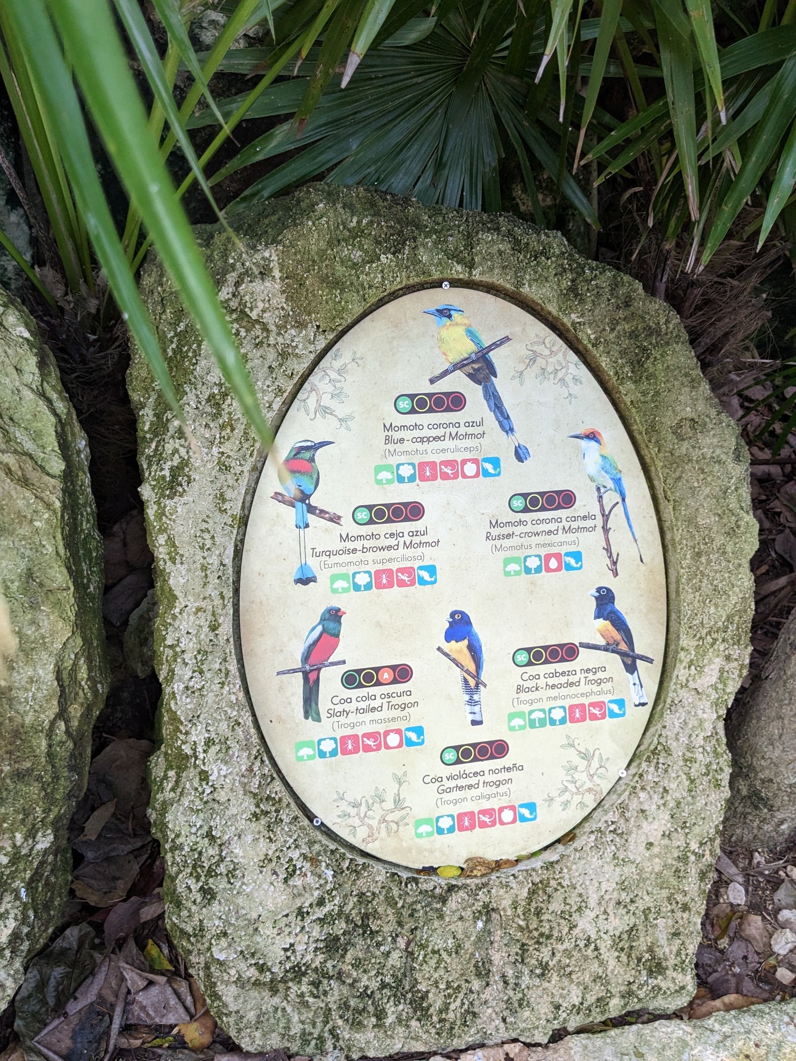 Main Aviary - signage