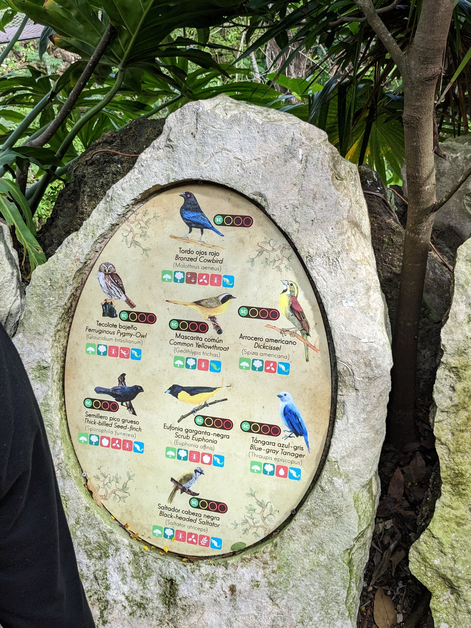 Main Aviary - signage