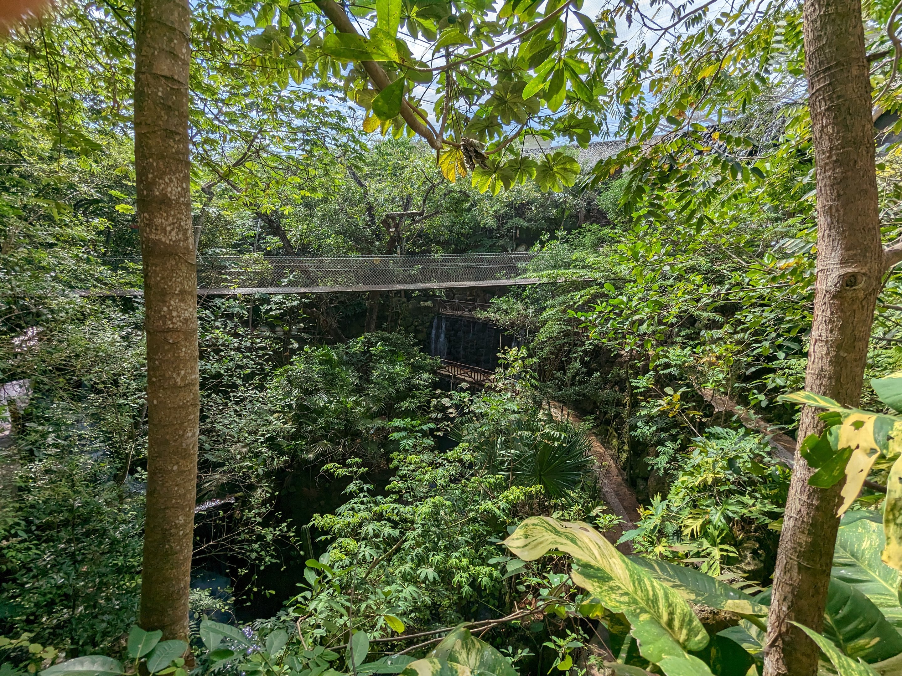 Main aviary - view of swinging bridge