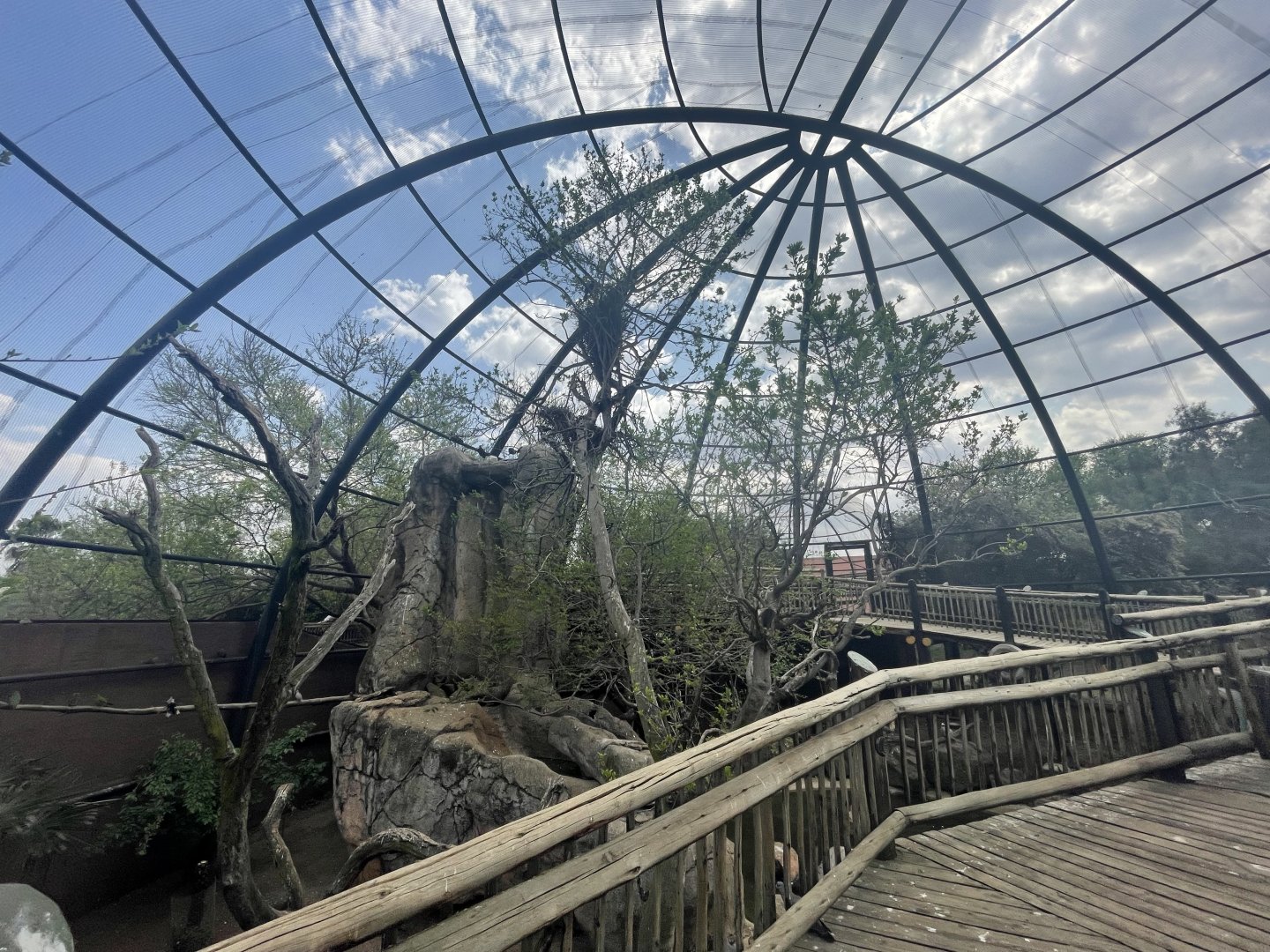 Main Aviary