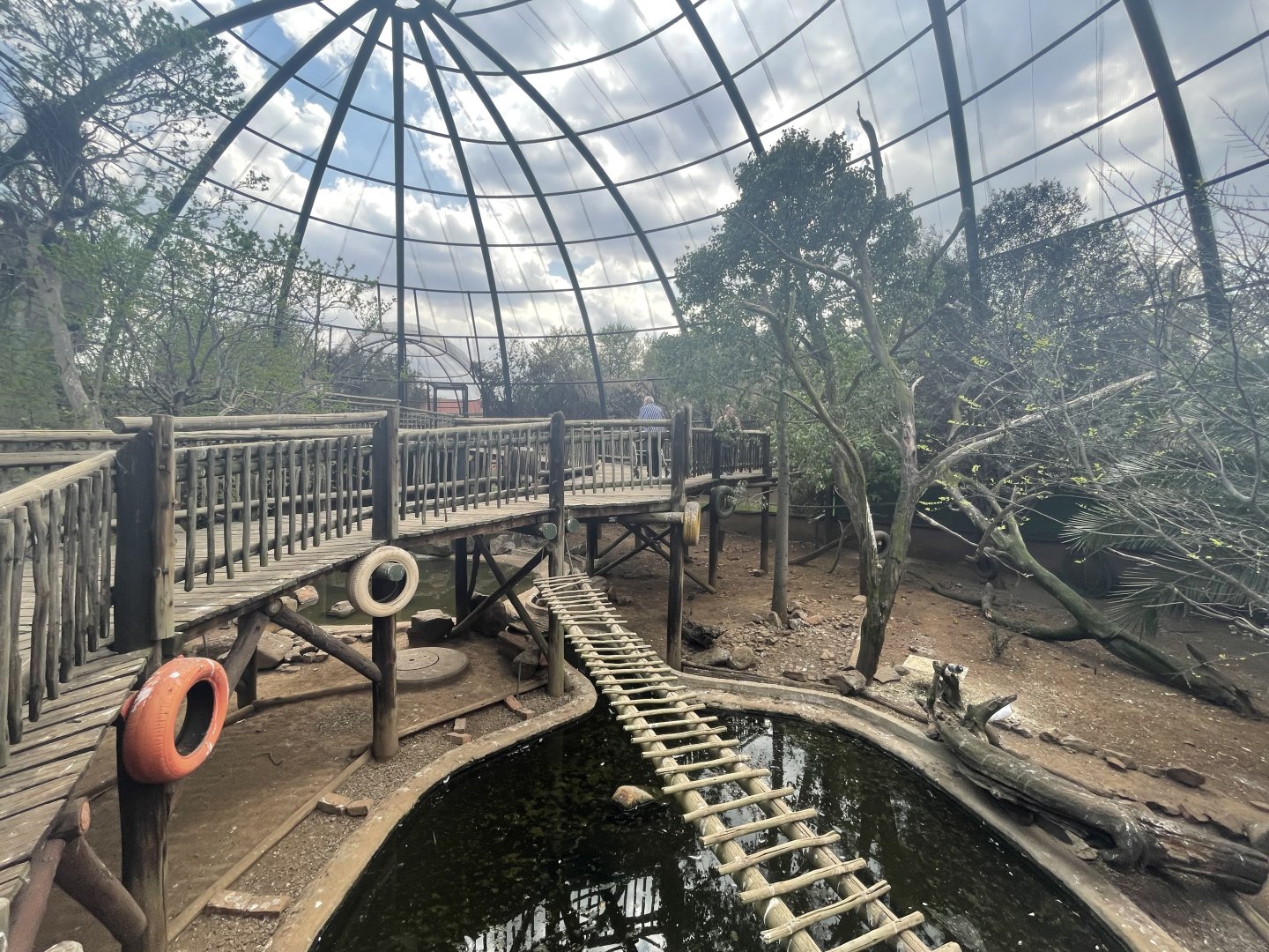Main Aviary