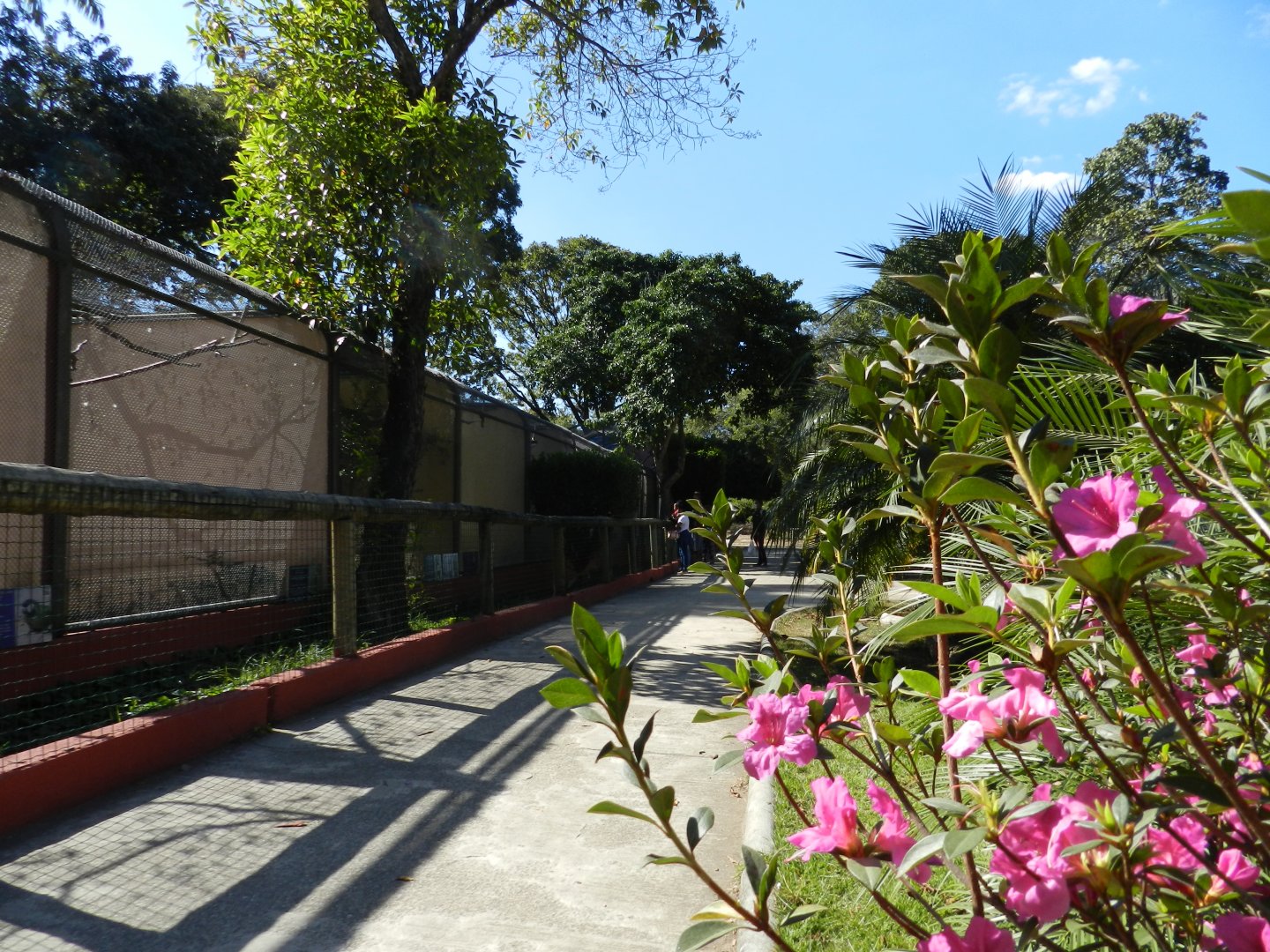Main bird square corridor - Belo Horizonte zoo
