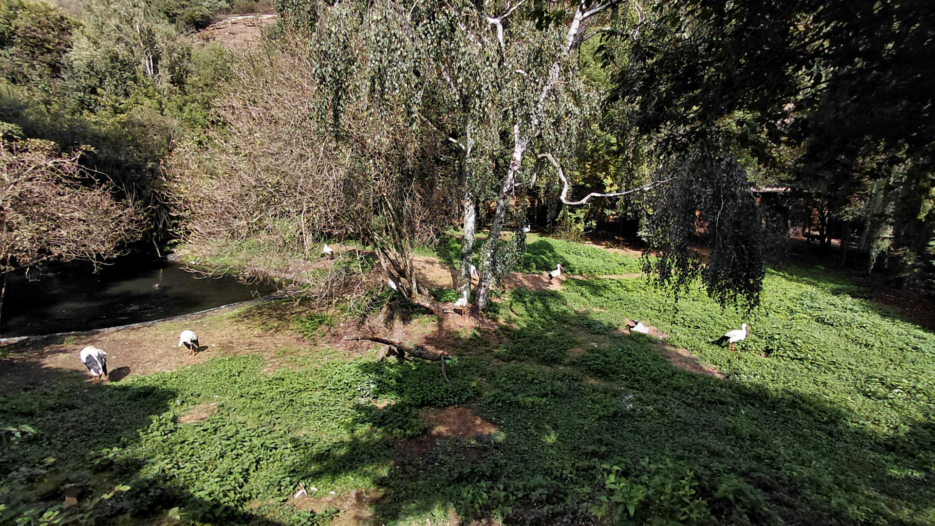Main bird wetlands exhibit