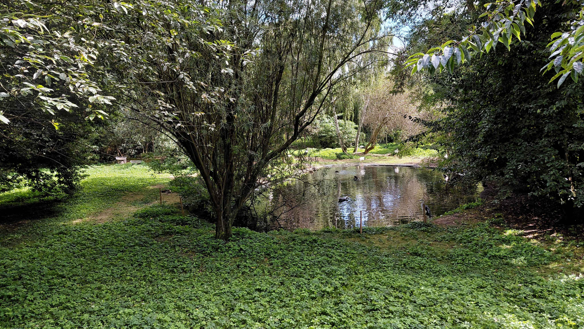 Main bird wetlands exhibit