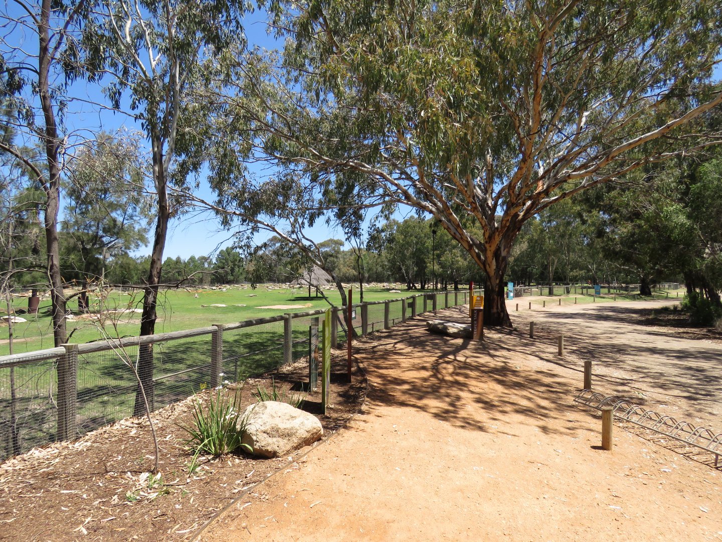 Main Black Rhino Exhibit
