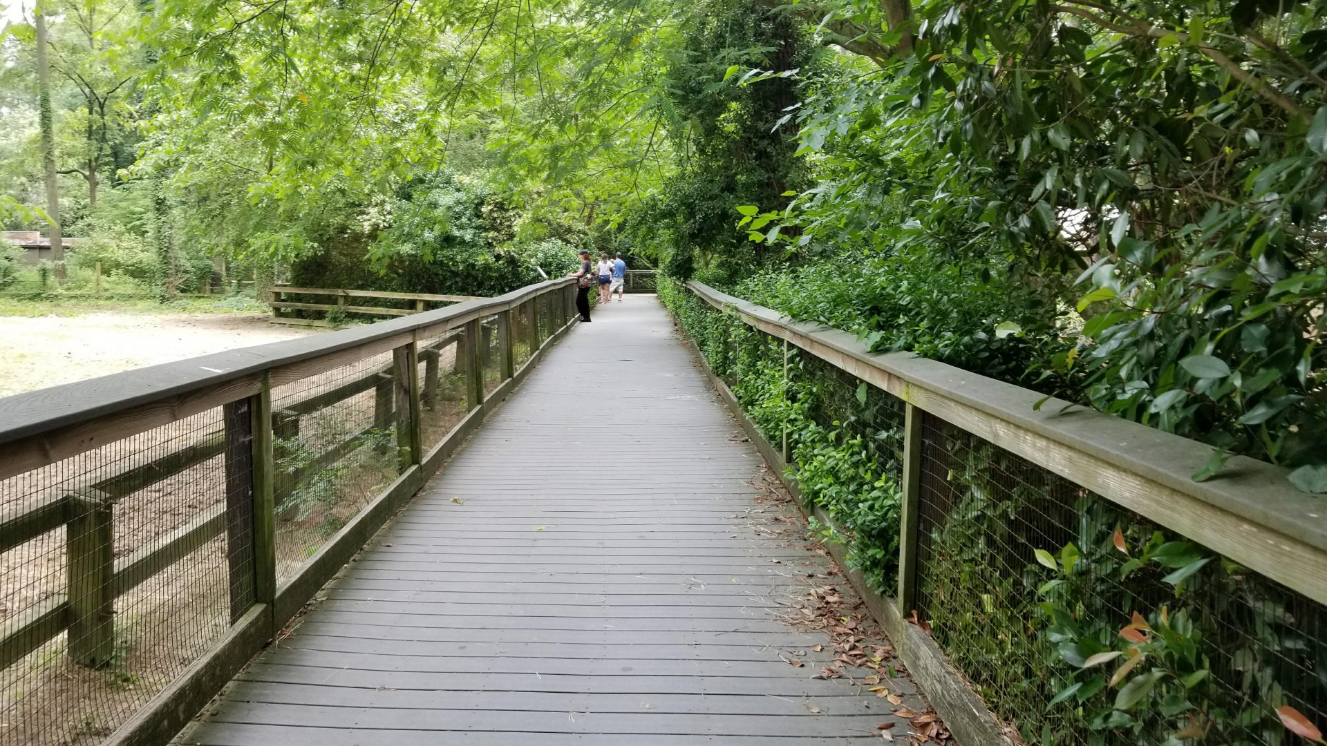 Main boardwalk