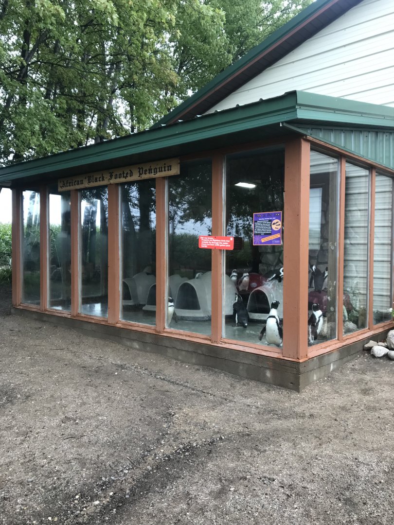 Main Building- Black-Footed Penguin Exhibit