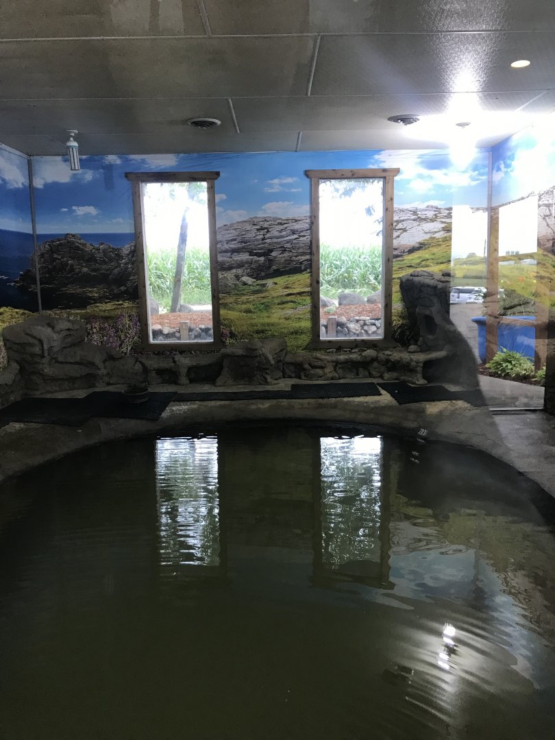 Main Building- Common Eider exhibit
