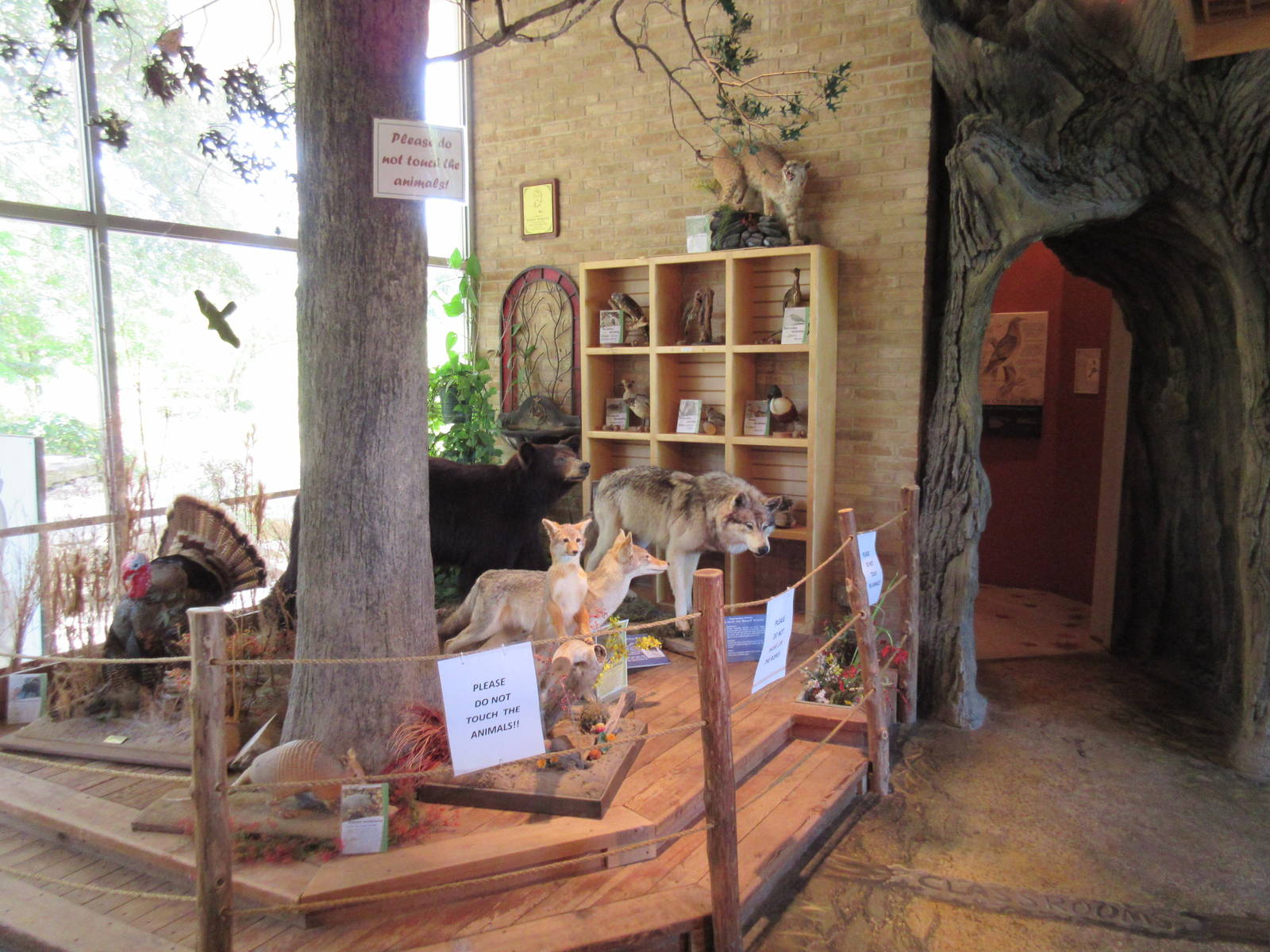 Main Building - Entrance Foyer
