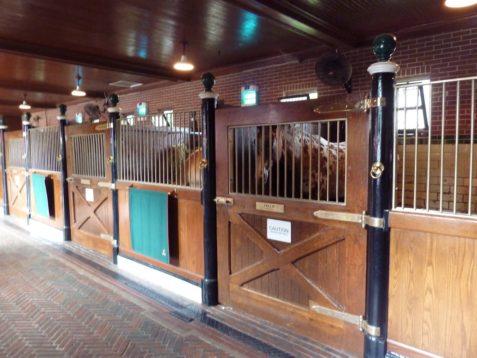 Main Building - Horse Stalls