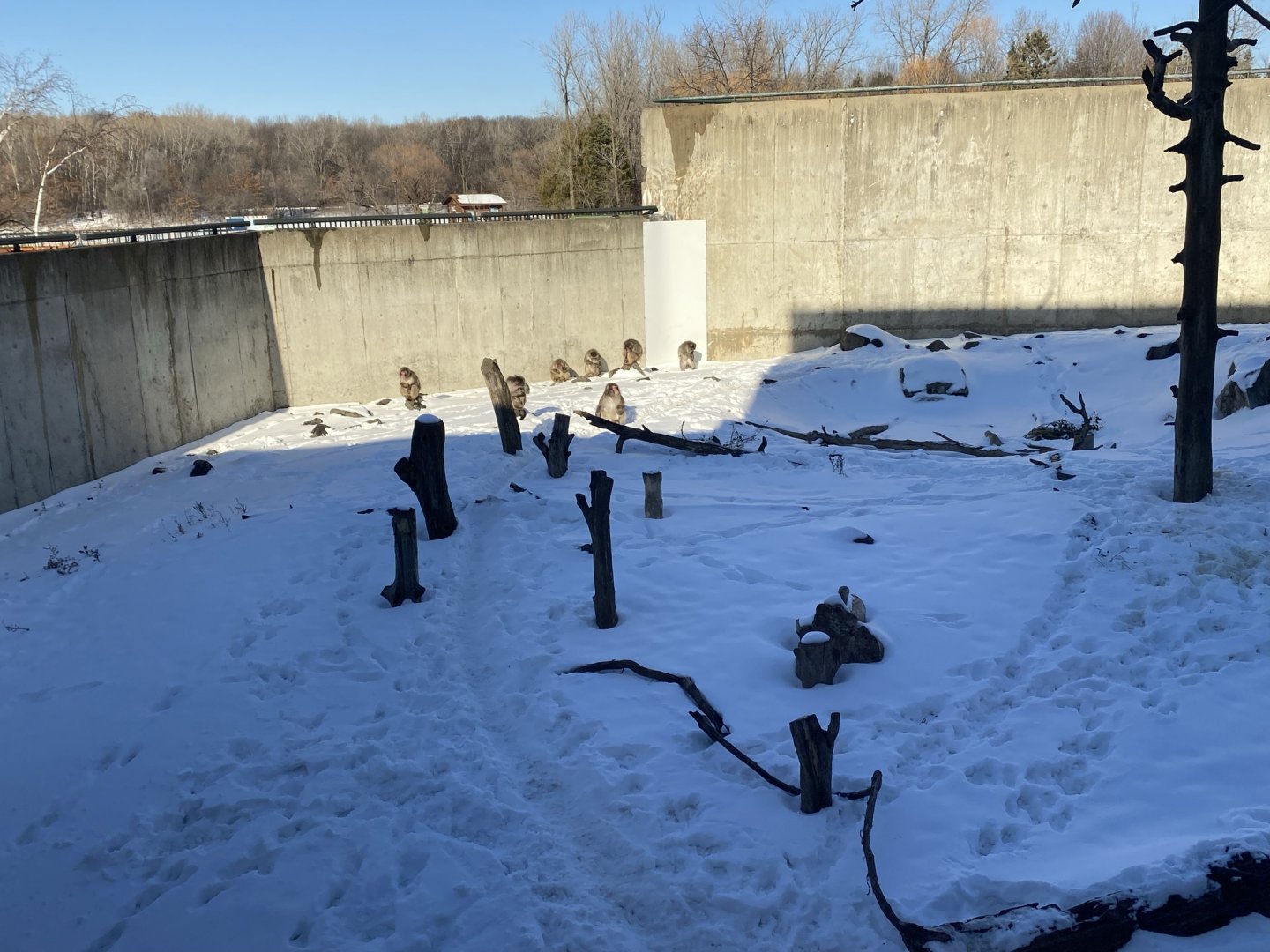 Main Building - Japanese Macaque Exhibit