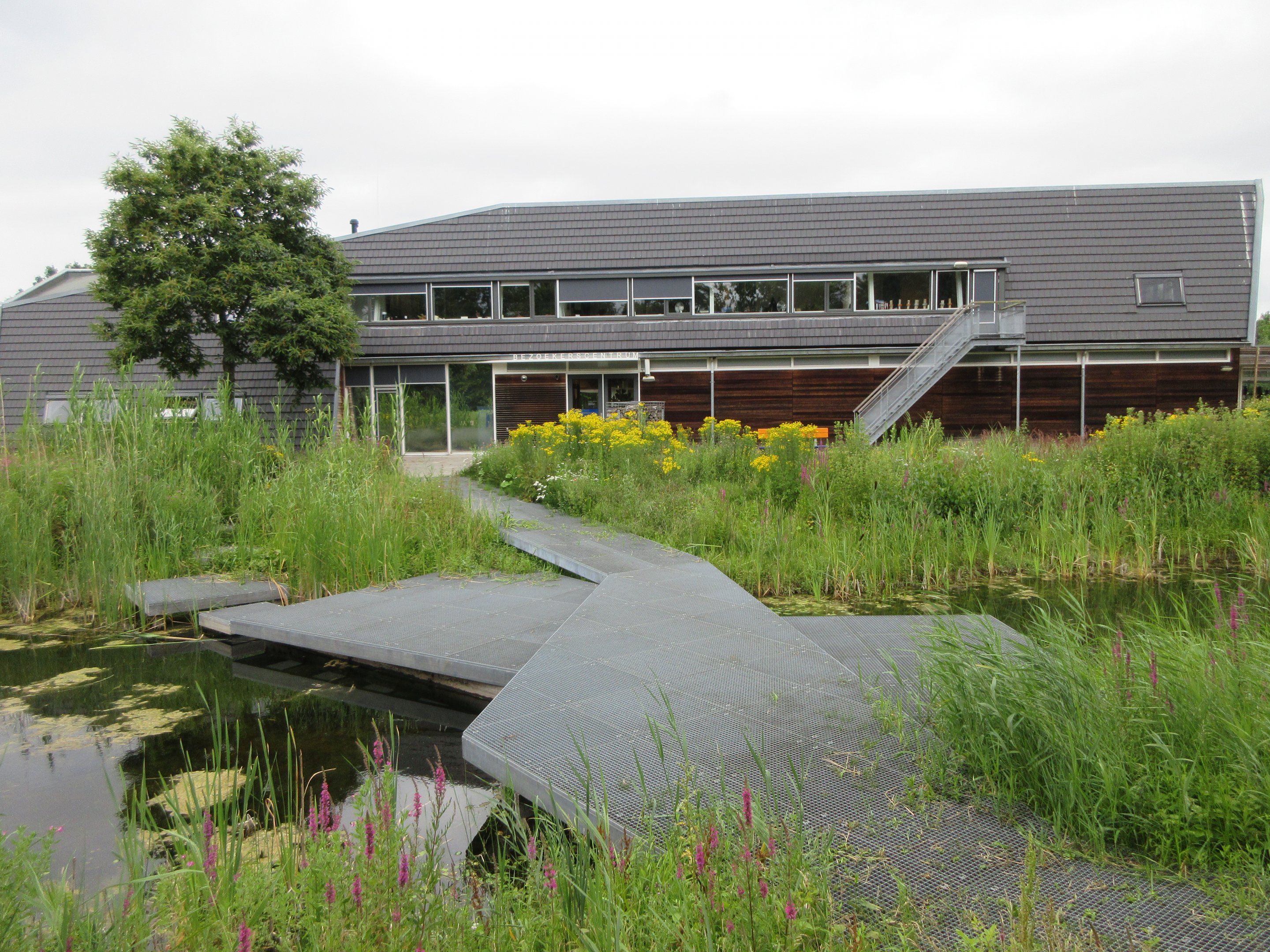 Main Building + Pond (with zero fencing around deep water)