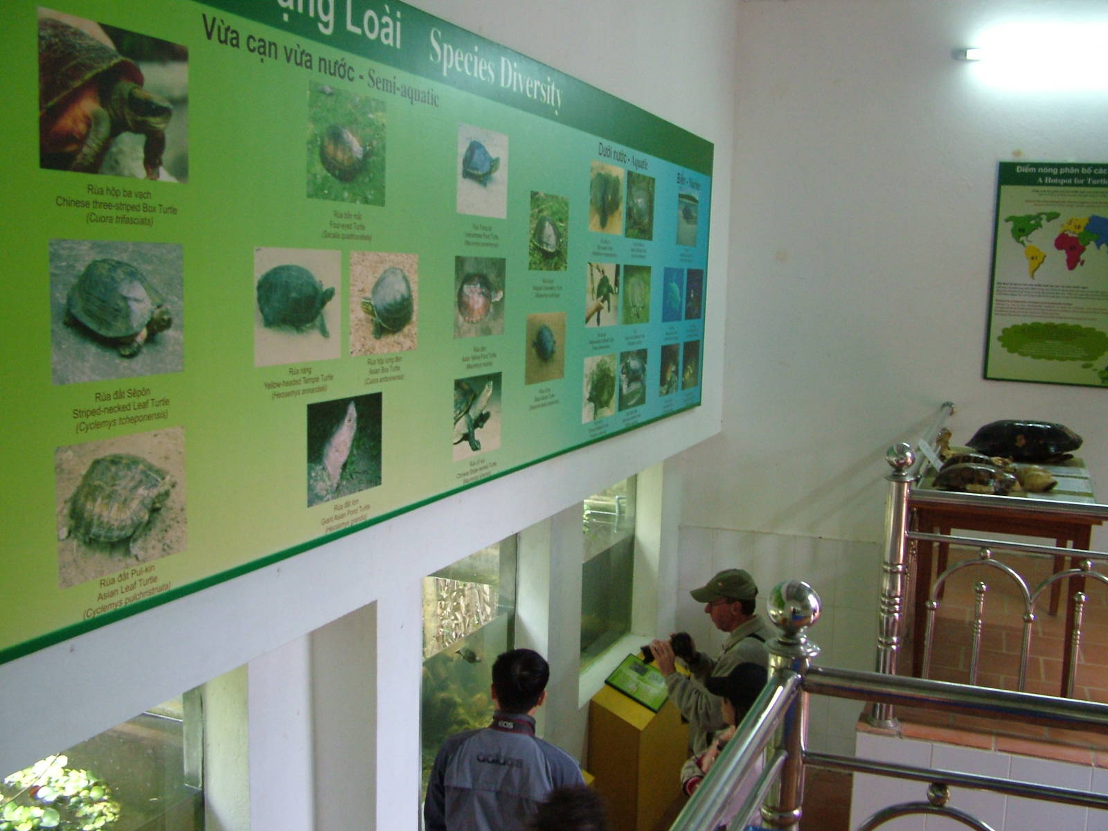 Main Building Turtle Viewing at the Turtle Centre, Cuc Phuong, 10/03/12