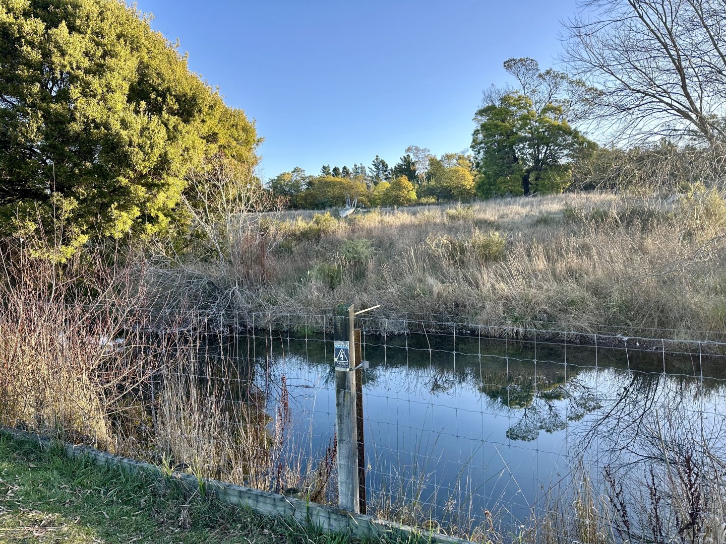 Main Cheetah Exhibit (Moat)