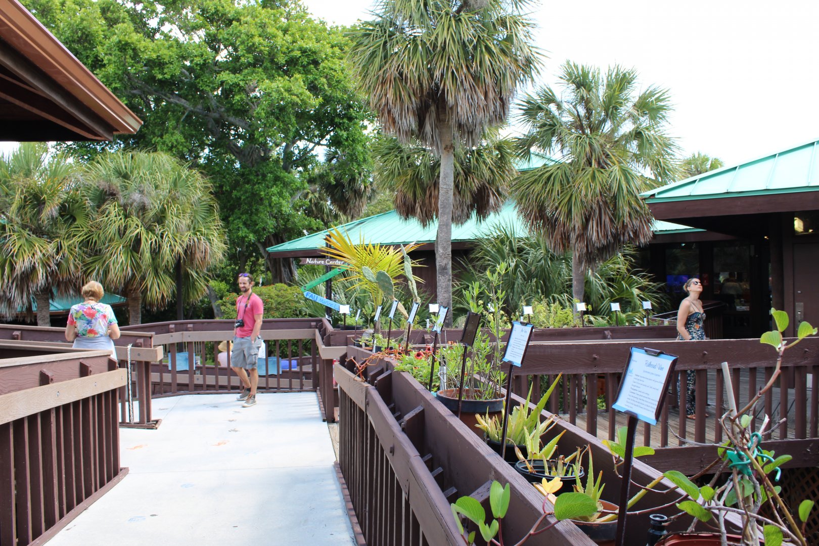 Main Deck and Garden