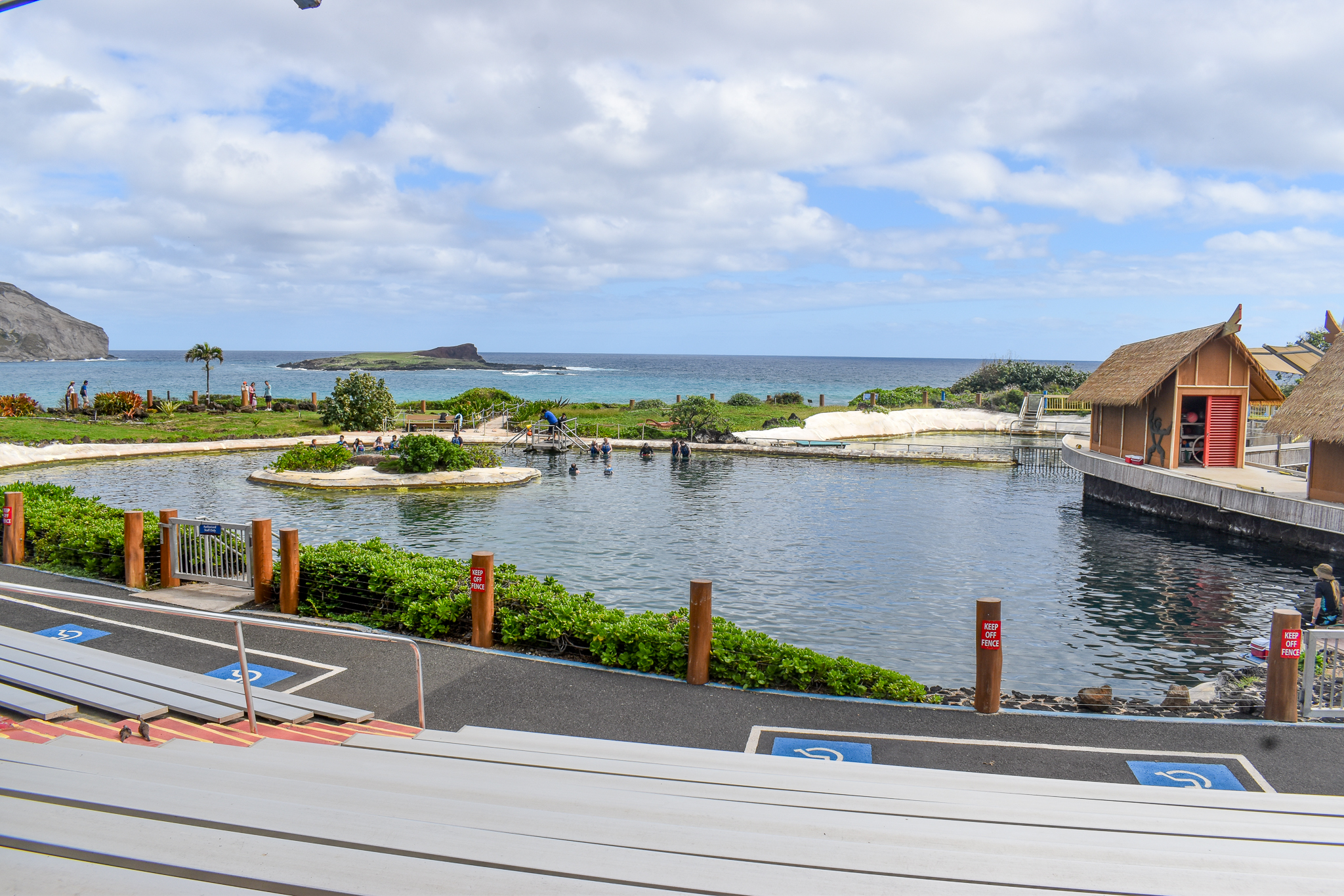 Main Dolphin Show Area