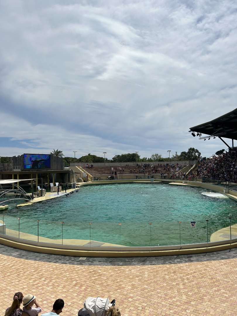 Main Dolphin show pool