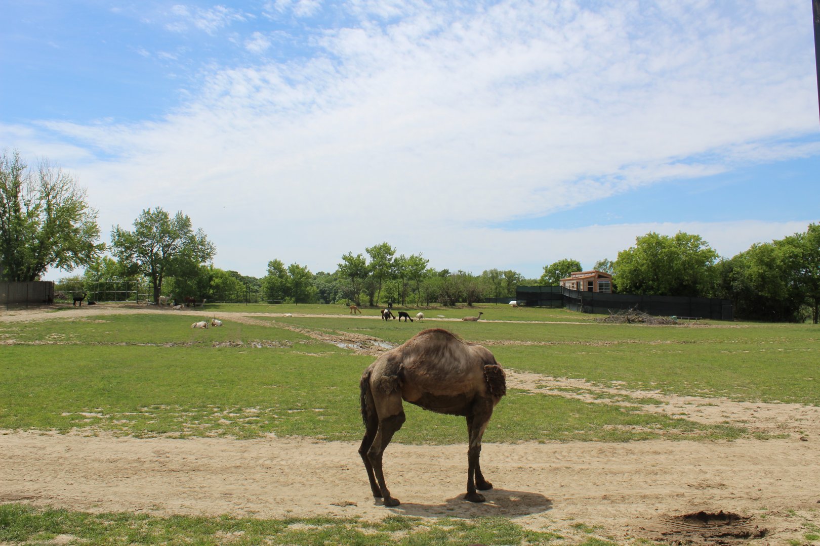 Main Drive-Through Yard