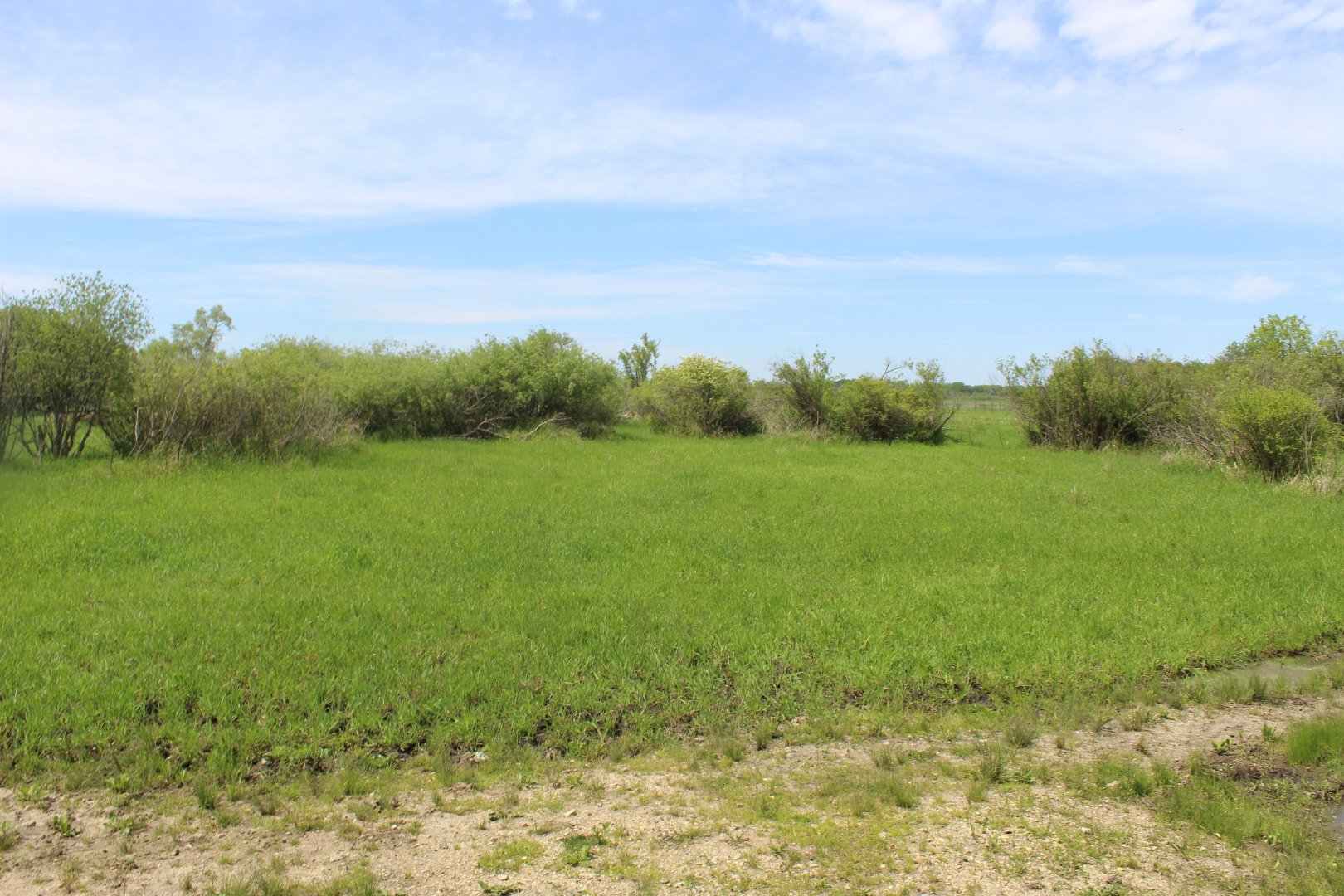Main Drive-Through Yard
