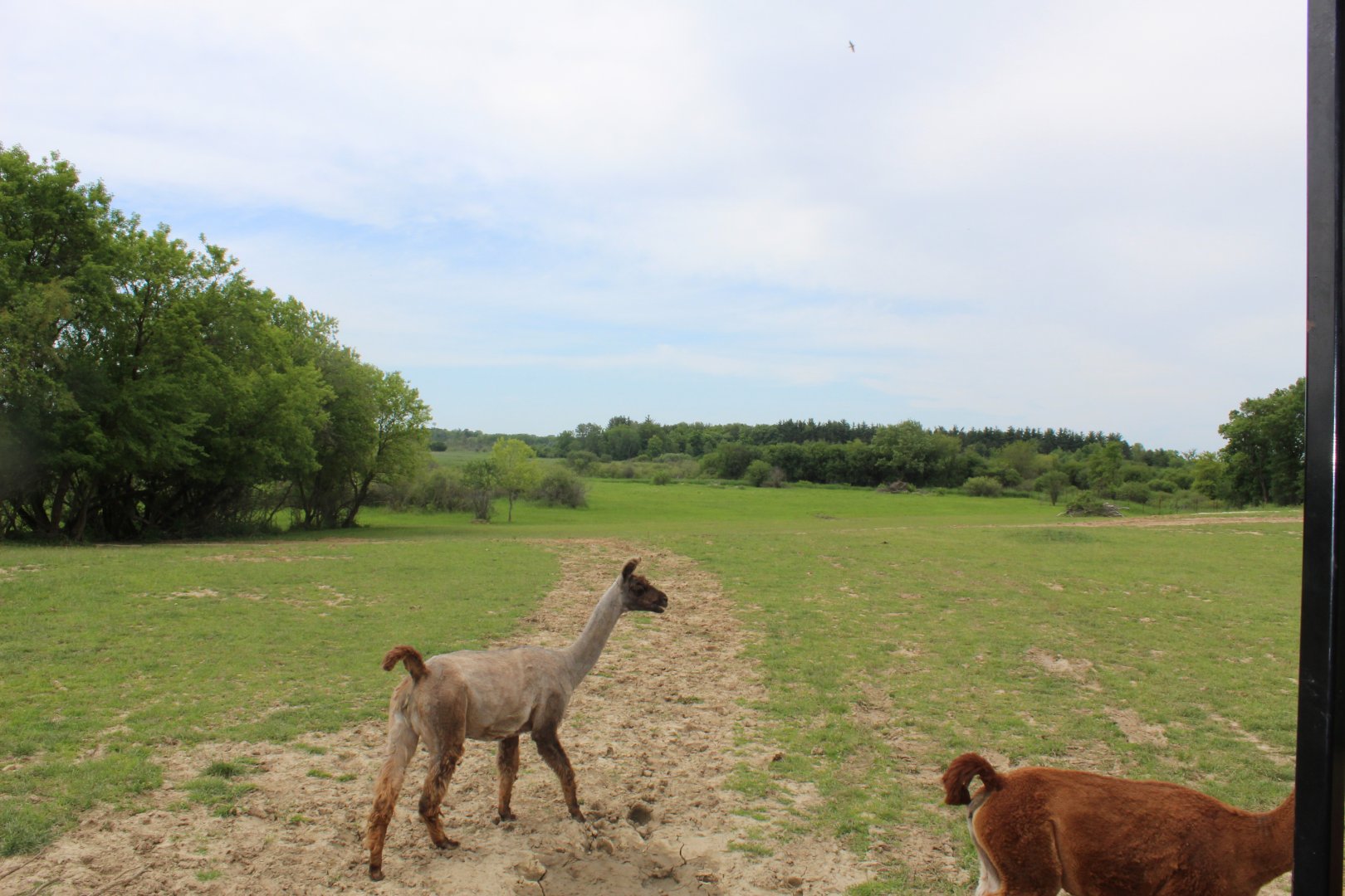 Main Drive-Through Yard
