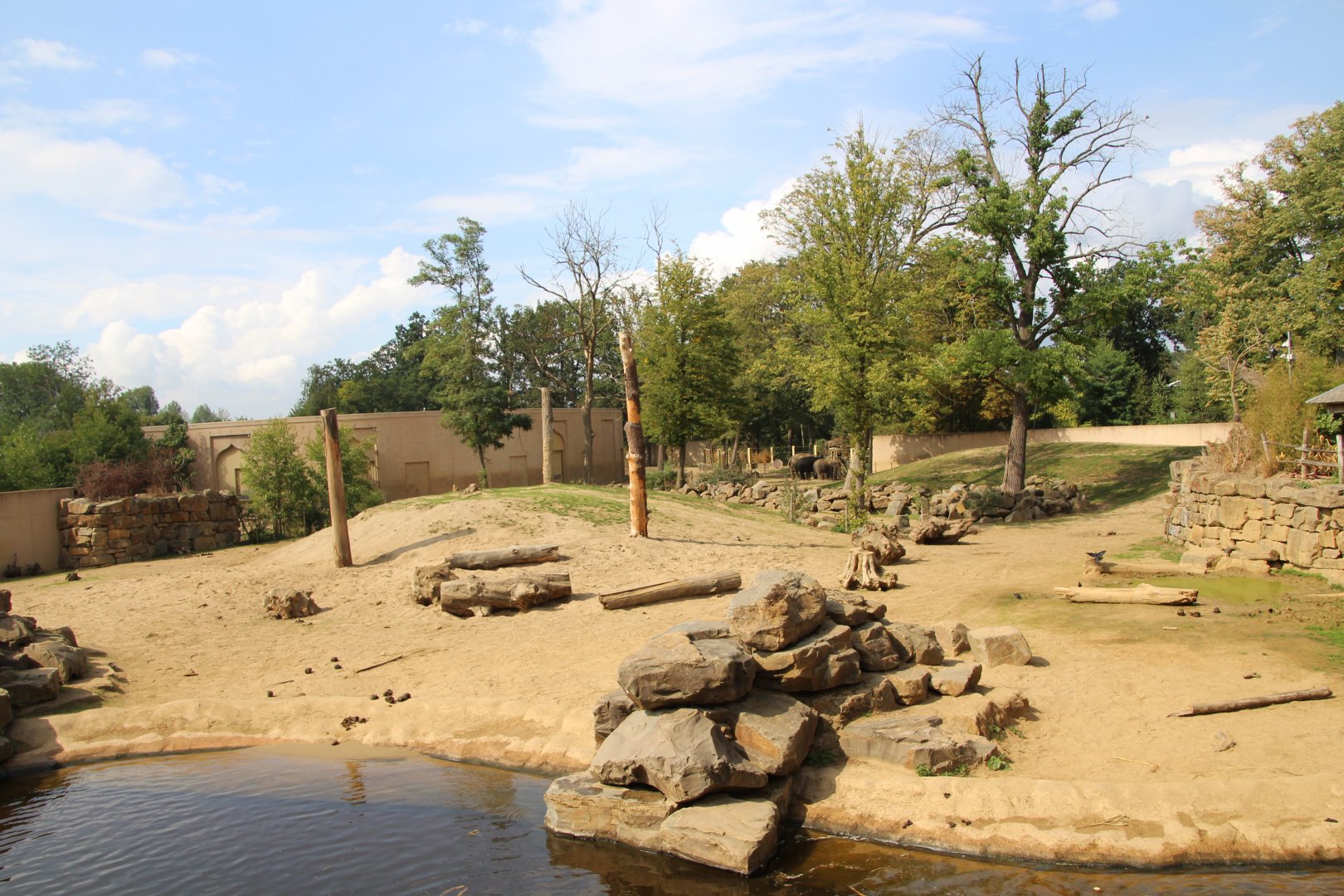 Main elephant enclosure - September 2018