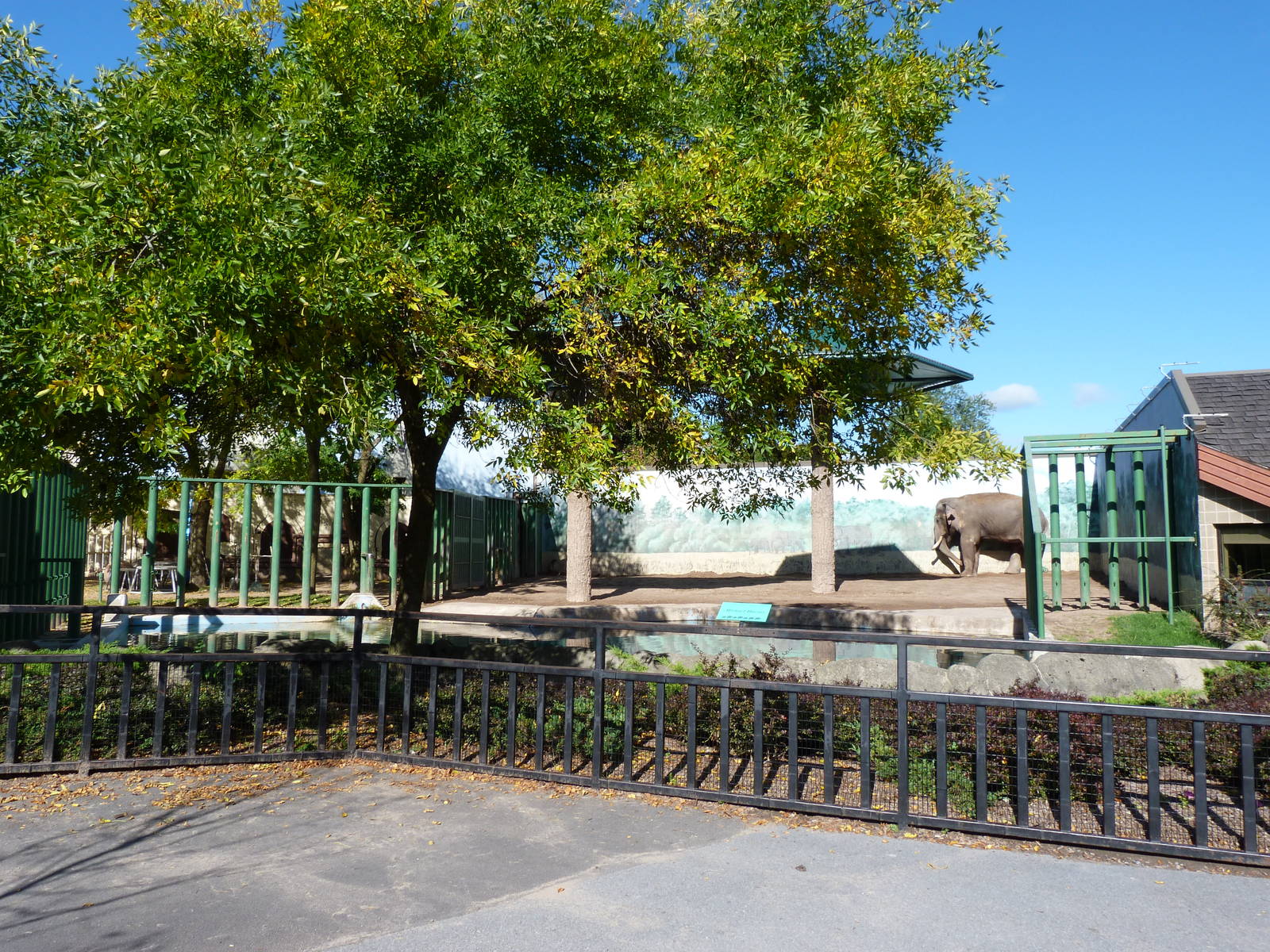 Main Elephant Exhibit