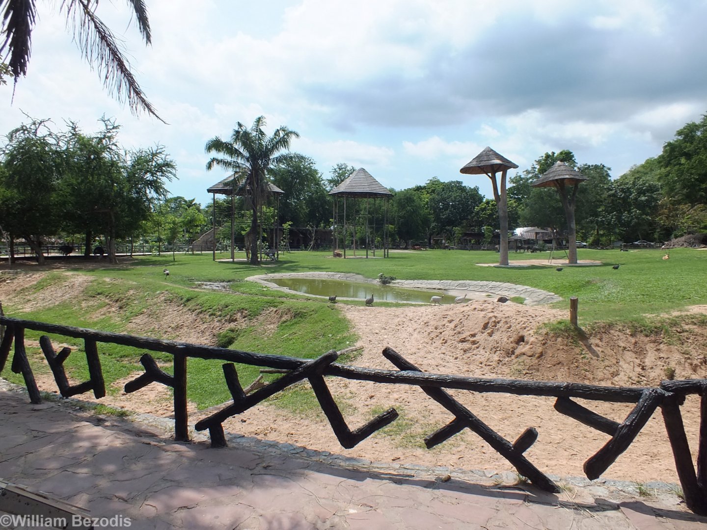 Main Enclosure in the Africa Section
