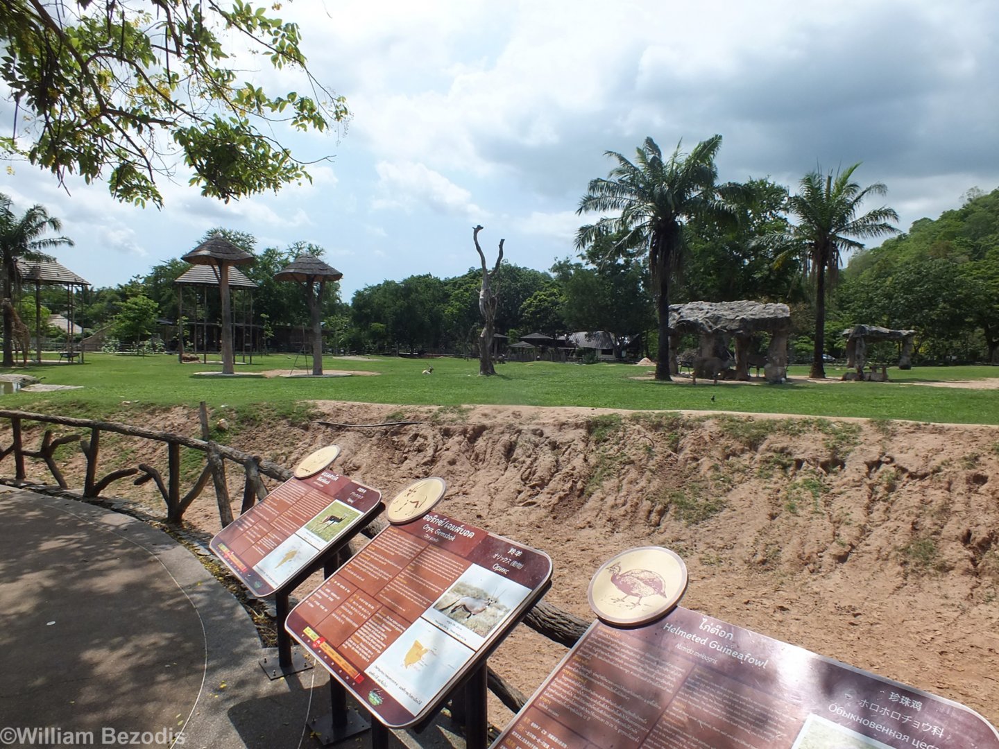 Main Enclosure in the Africa Section