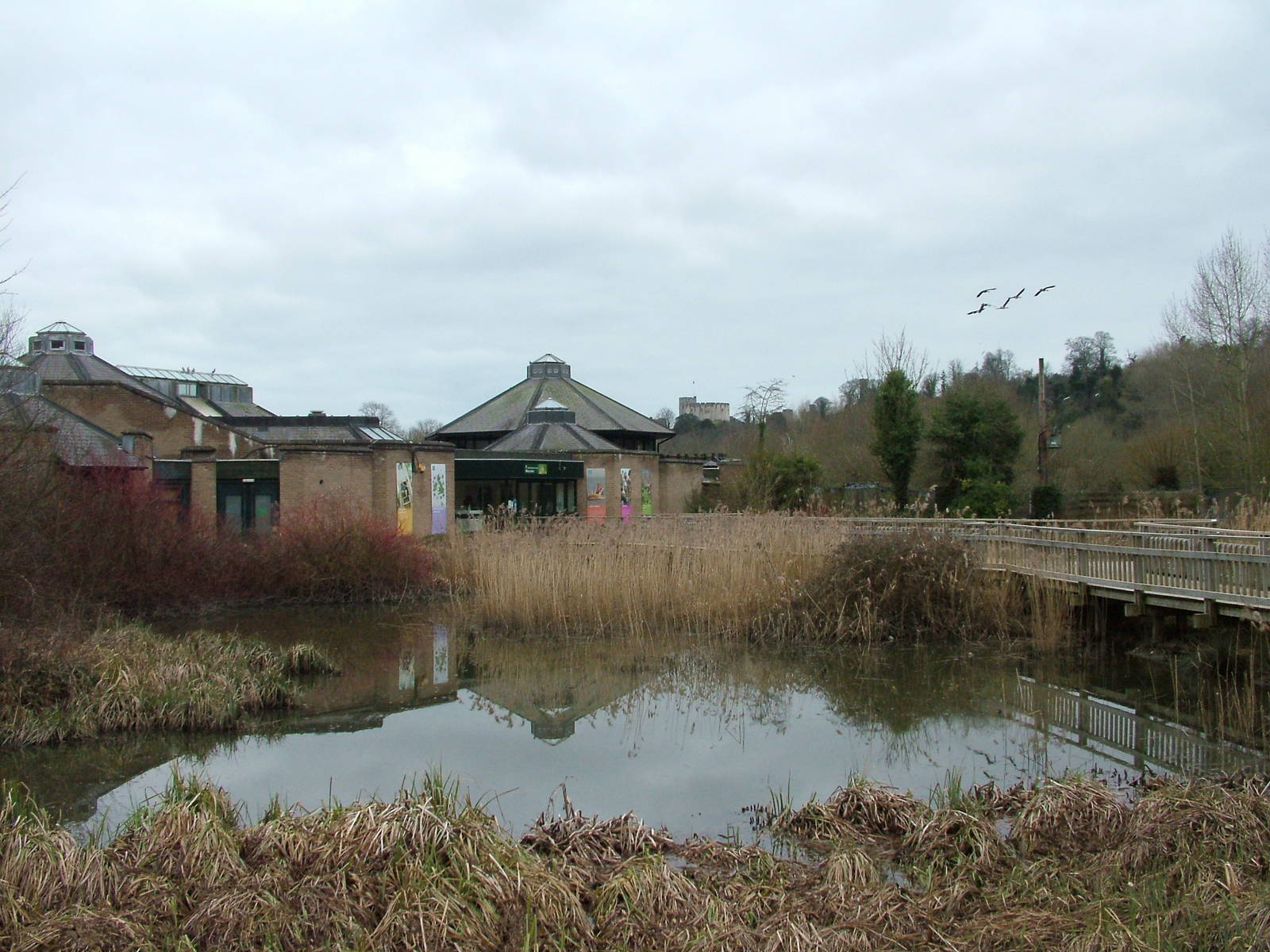 Main entrance at Arundel WWT 13/03/10