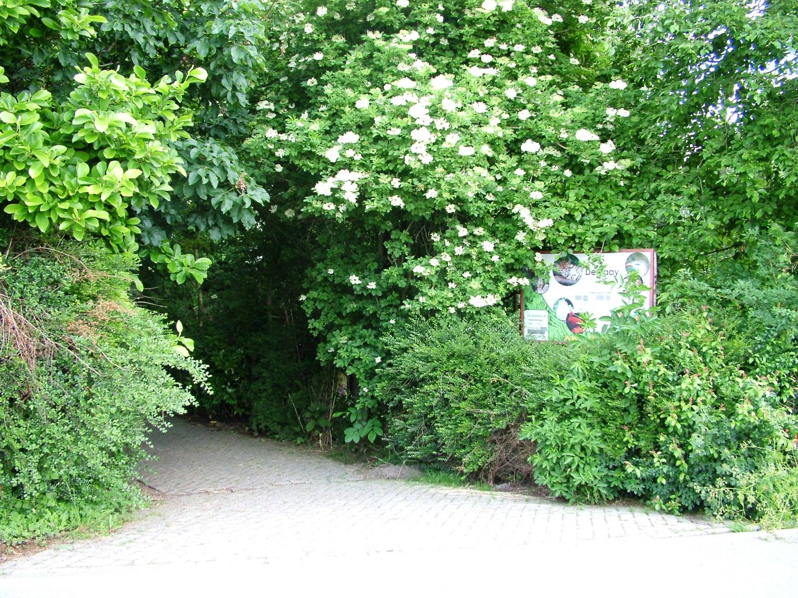 Main Entrance at De Paay, 02/06/12