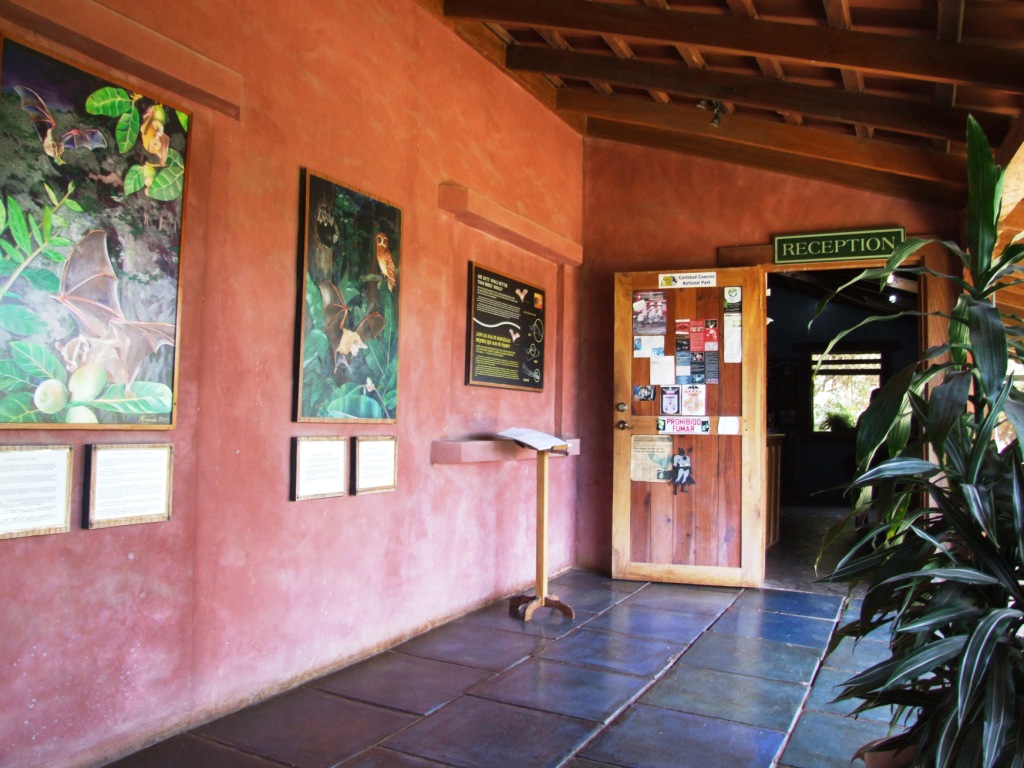 Main Entrance at the Bat Jungle