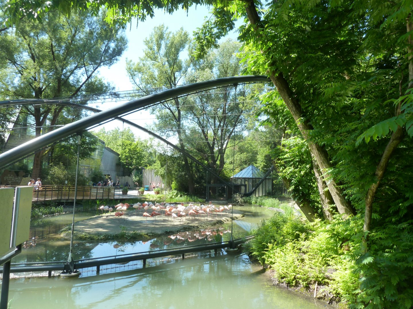 Main entrance - Flamingo aviary