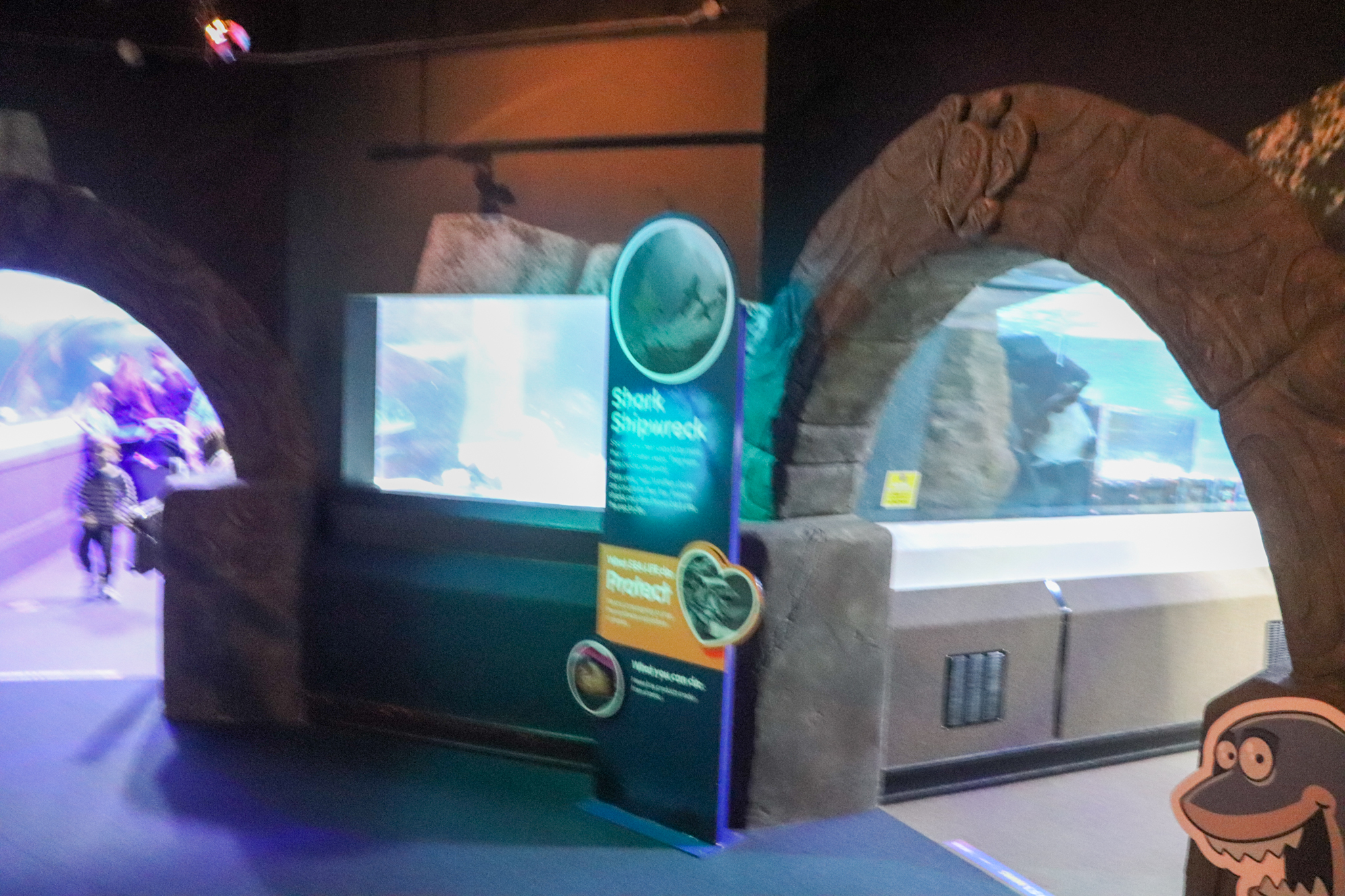 Main Entrance - Ocean Tunnel