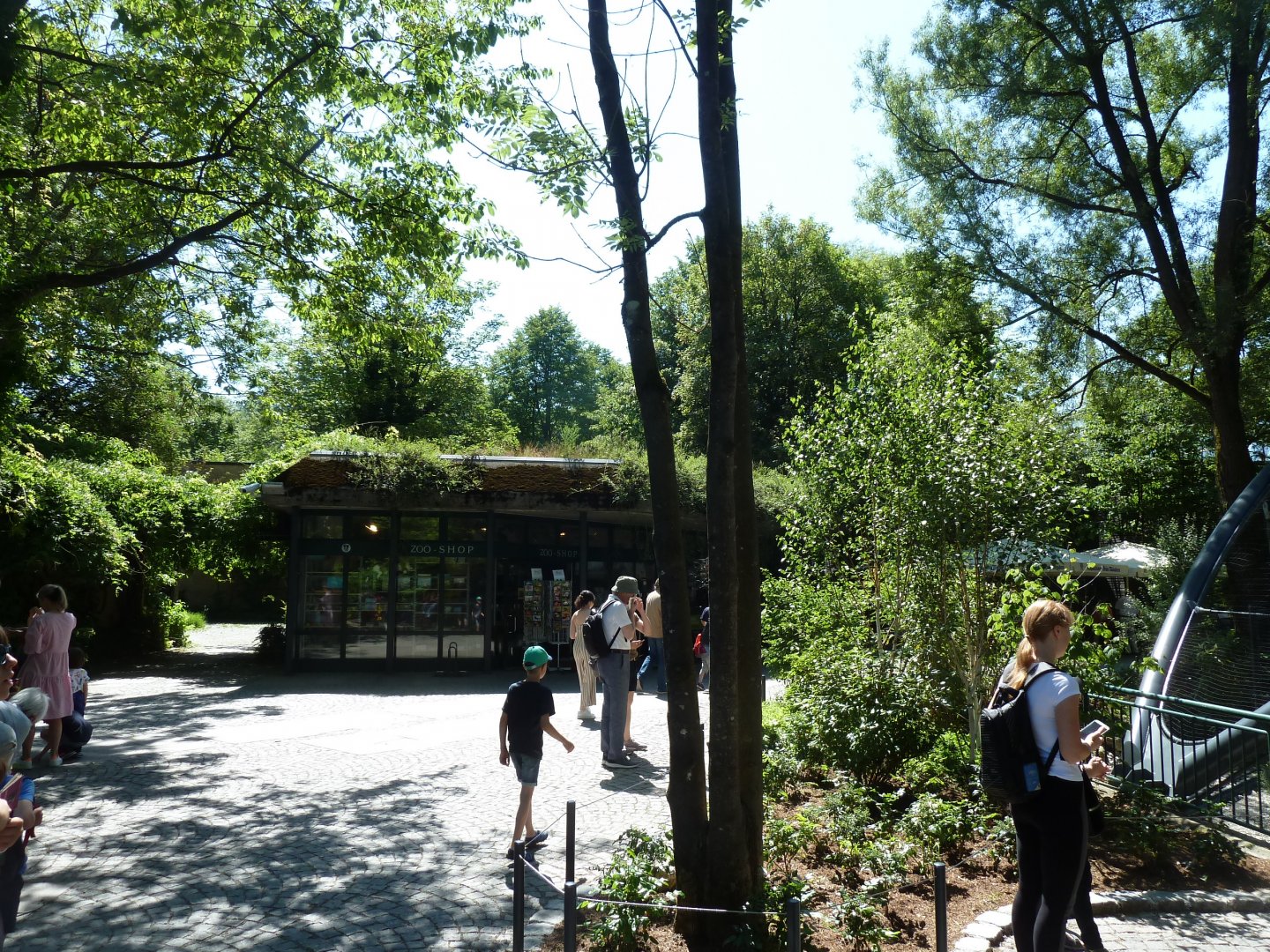 Main entrance - Zoo shop