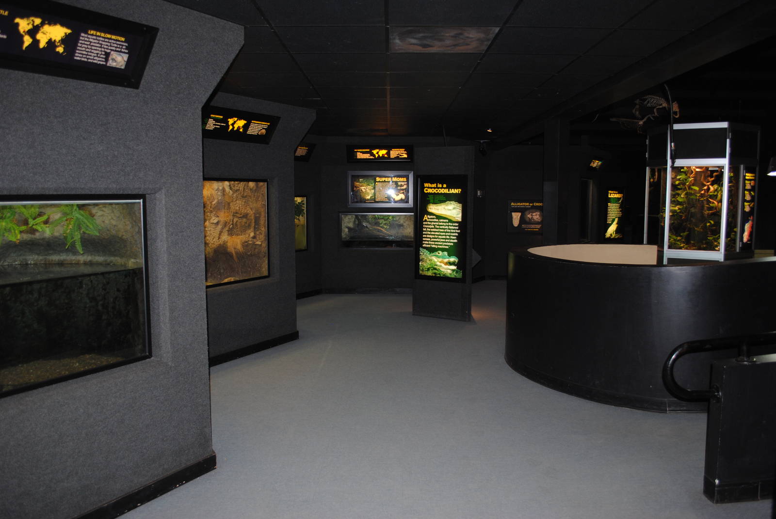 Main Exhibit Gallery
