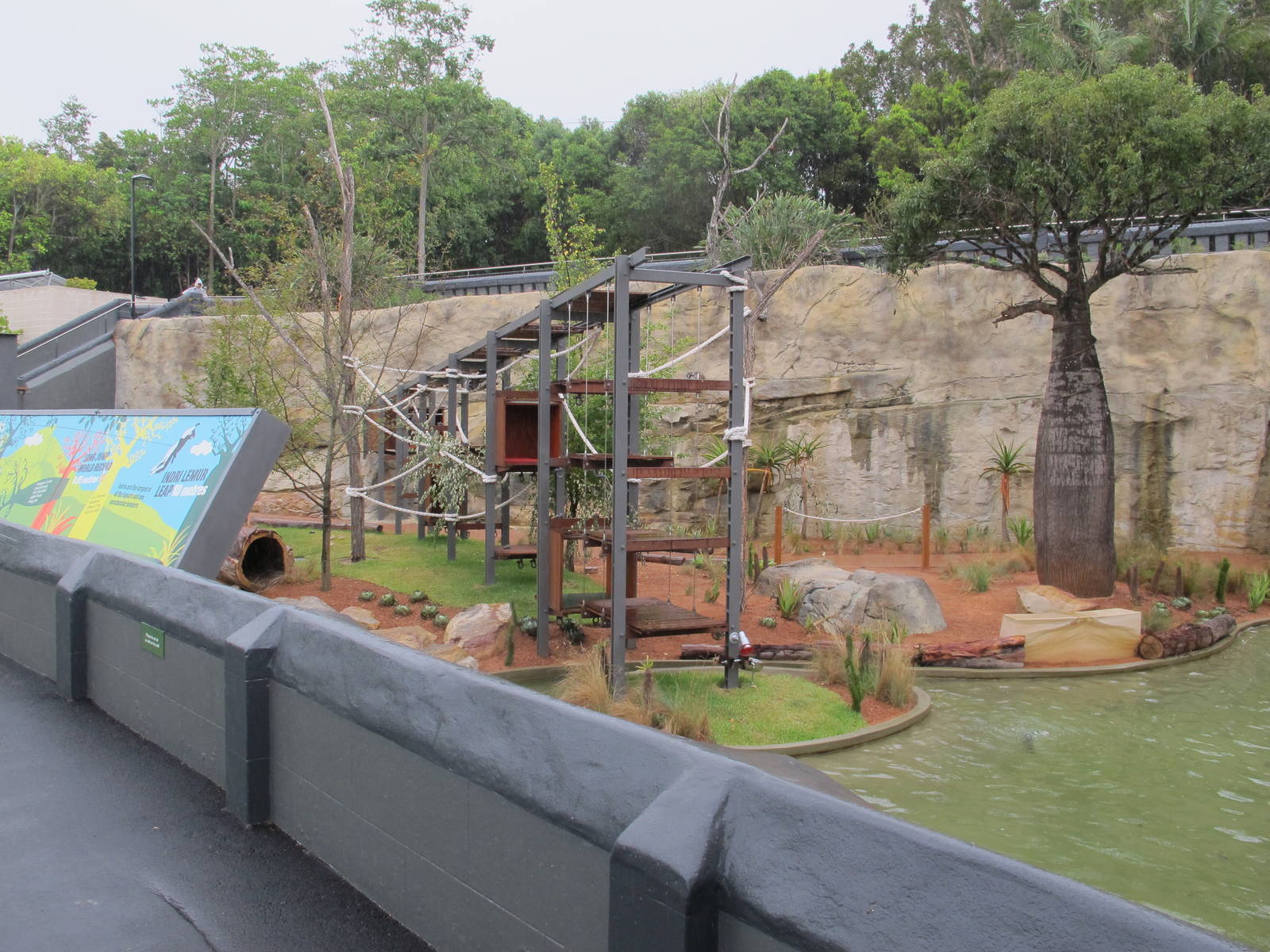 Main Exhibit - Lemur Forest Adventure Dec 2013