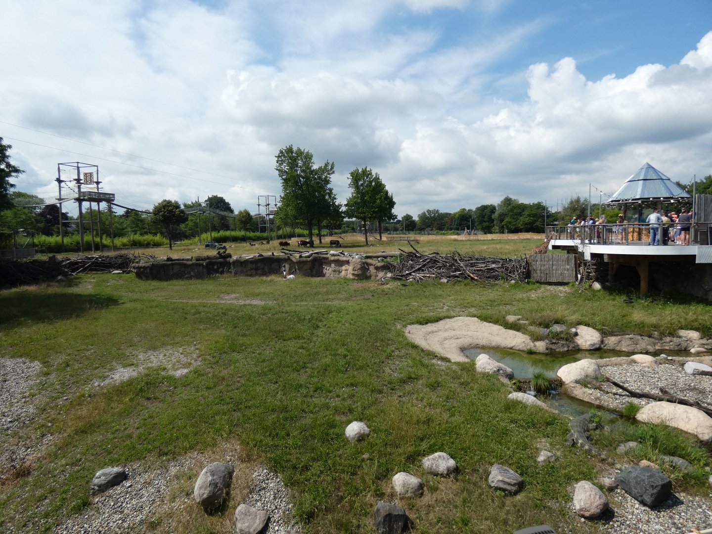 Main Exhibits, Africa - July 2021