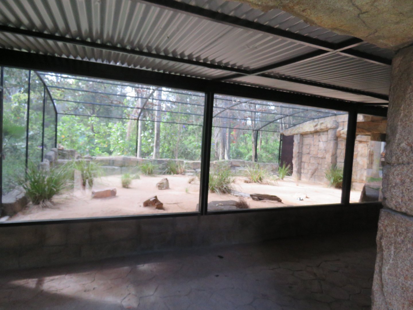 Main Fennec Fox Exhibit