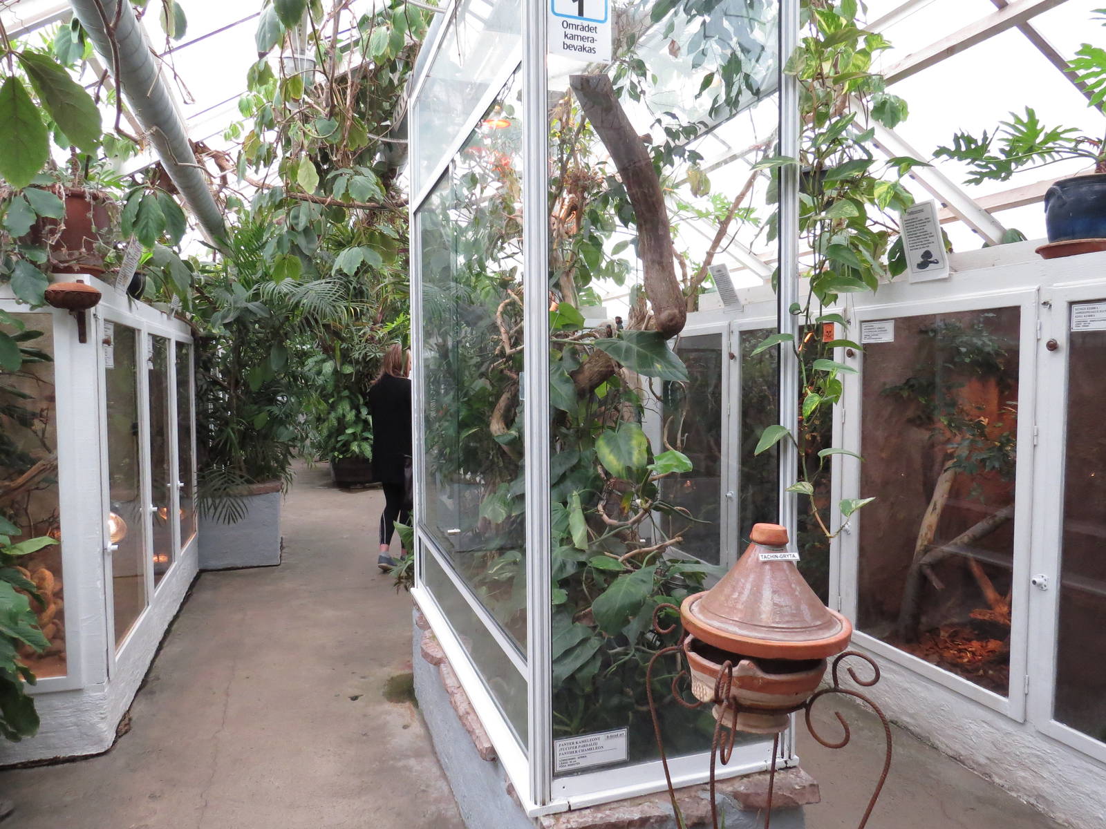 Main (first) hall, June 2015