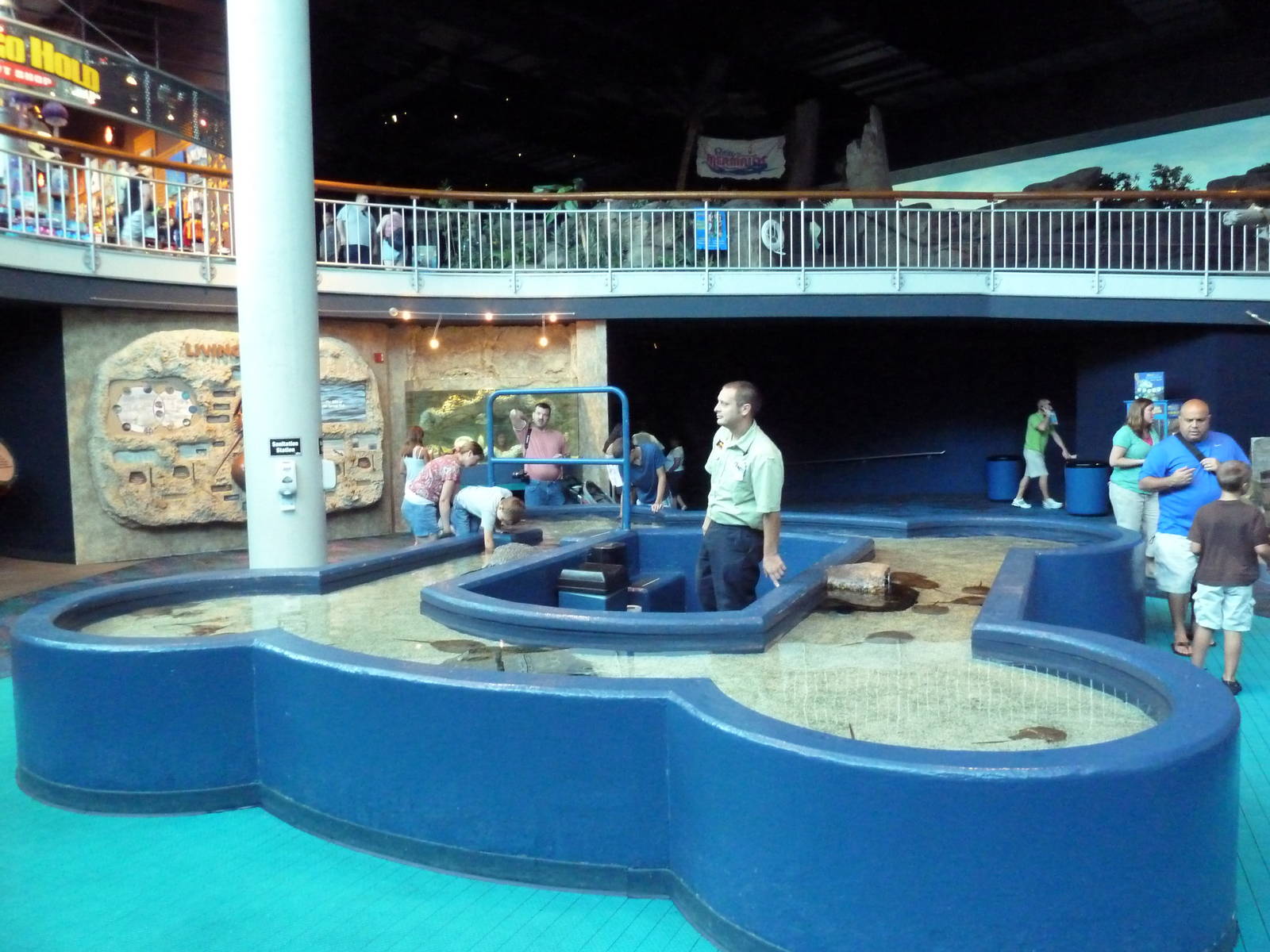Main Floor - Touch Tank