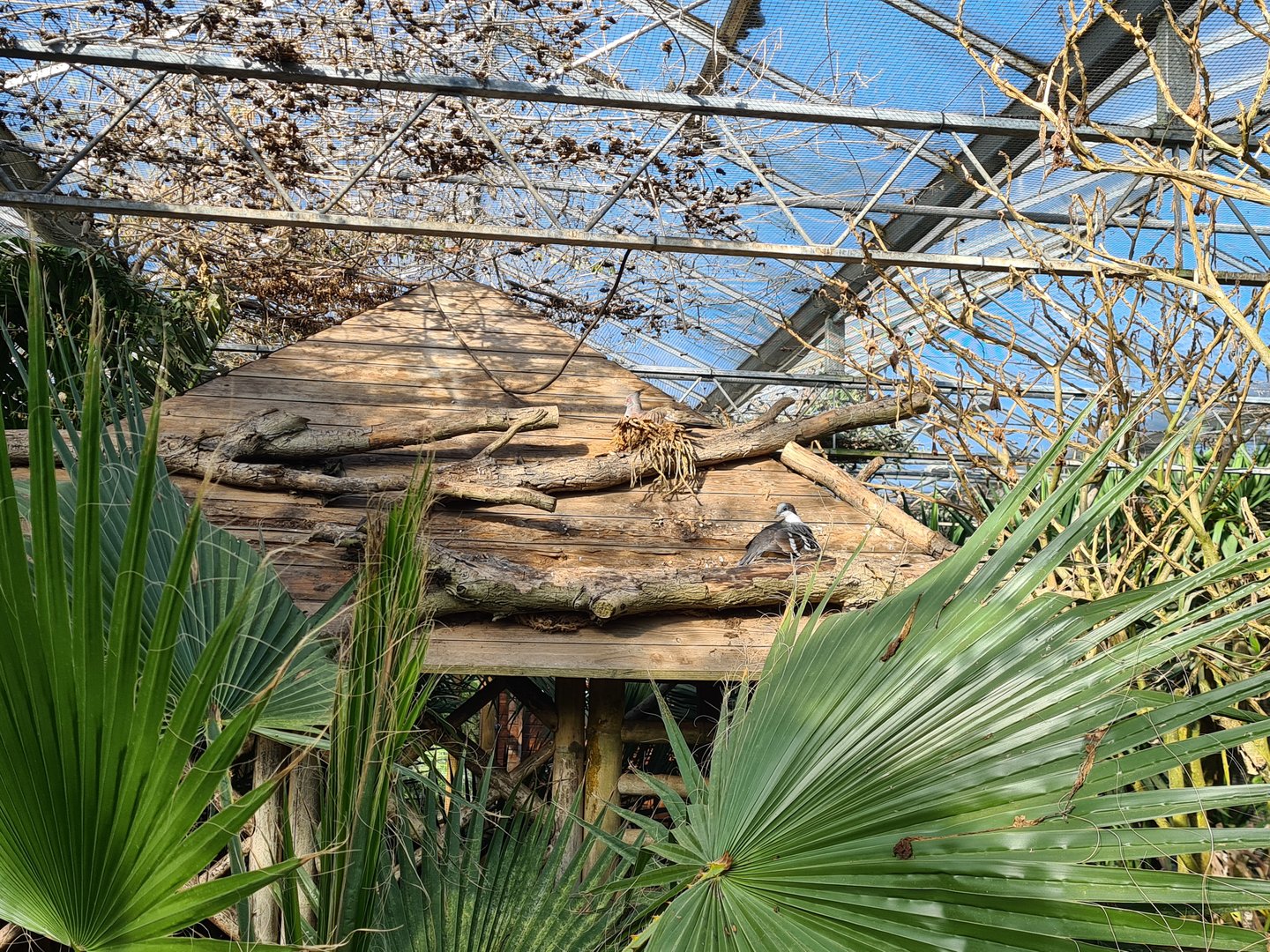 Main hall - Hut with nesting doves
